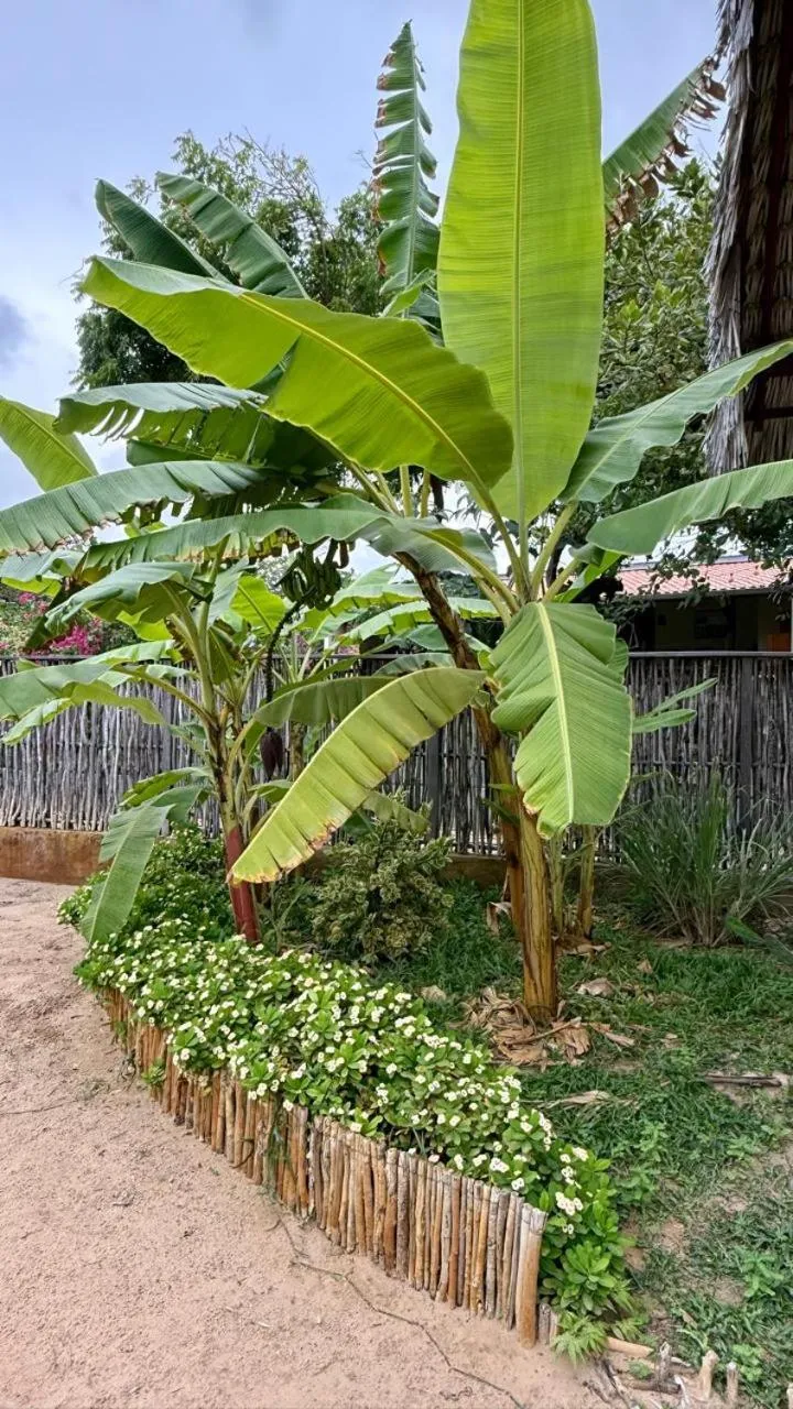 Spring in Pousada Lanea Experience