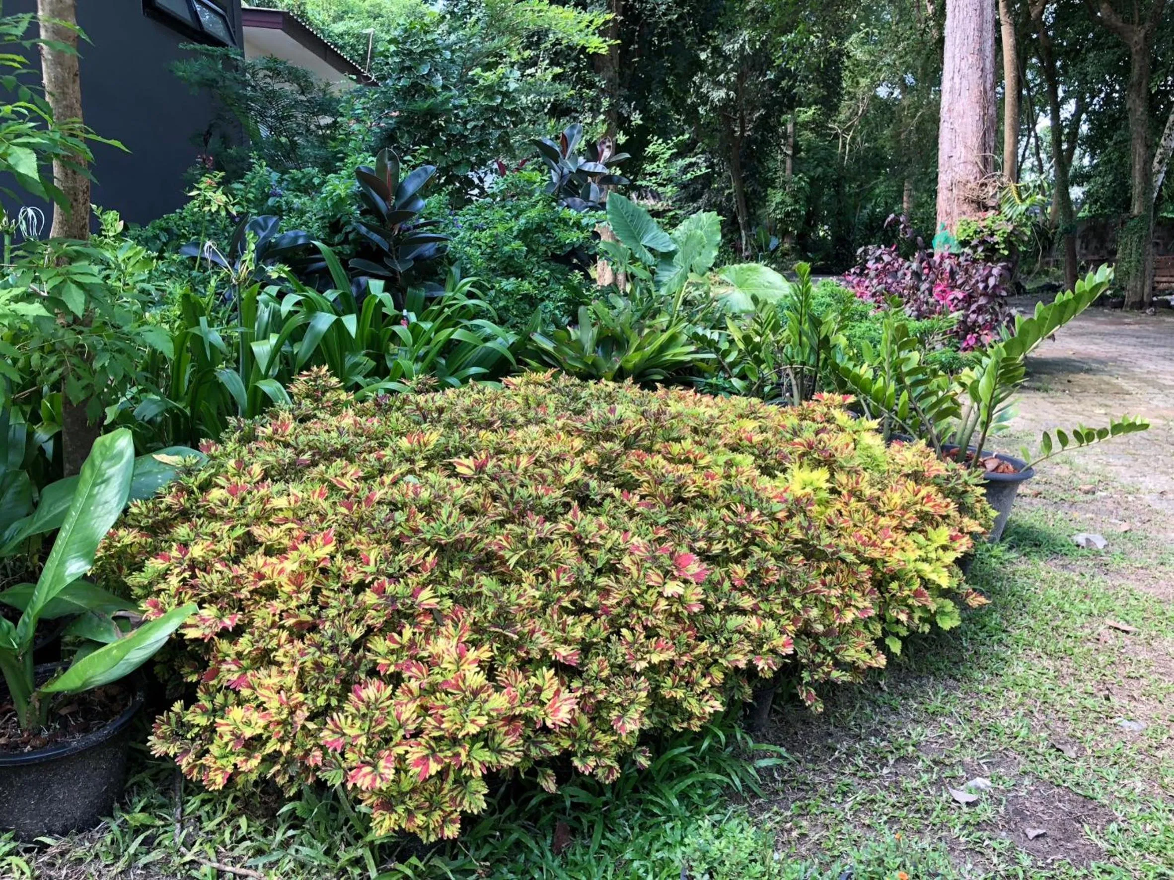 On site in Likita Resort