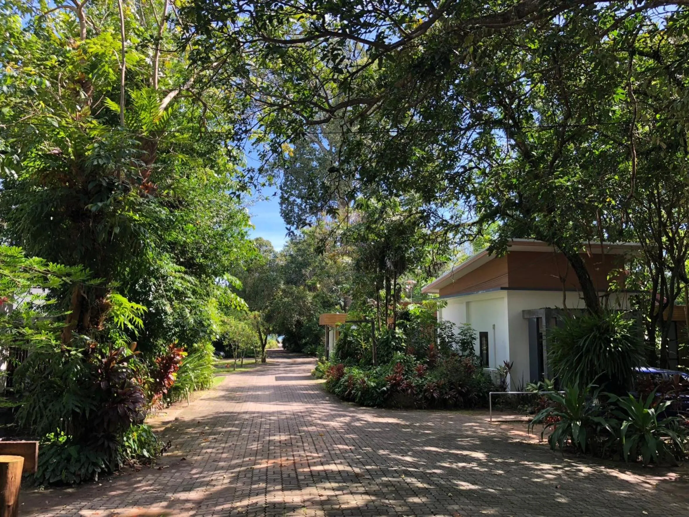 Day in Likita Resort