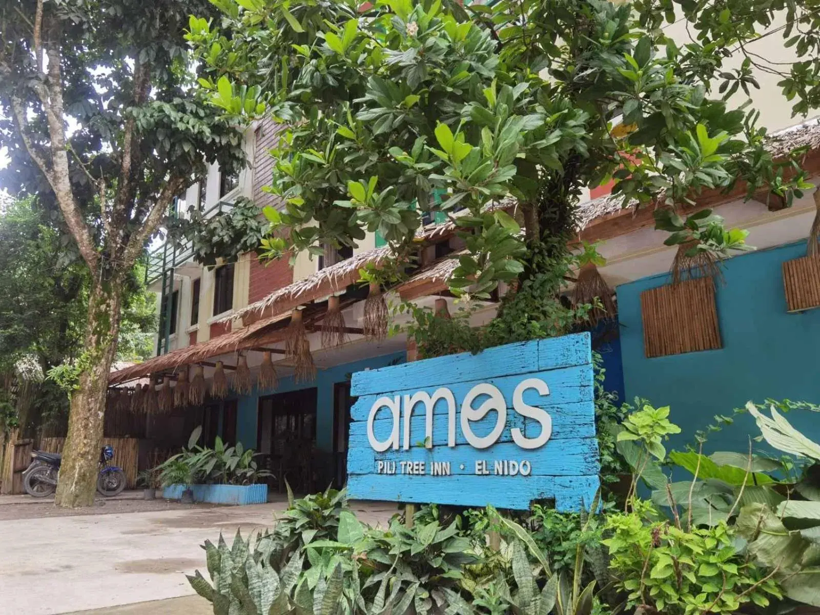 Amos Pili Tree Inn powered by Cocotel Amos Pili Tree Inn powered by Cocotel