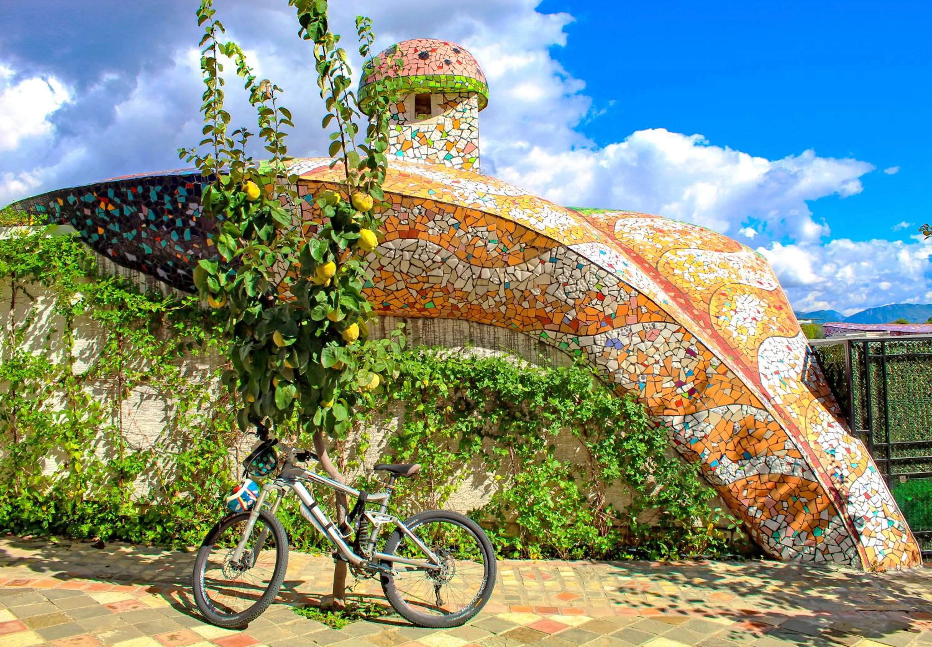 Garden in Arka Art Hotel