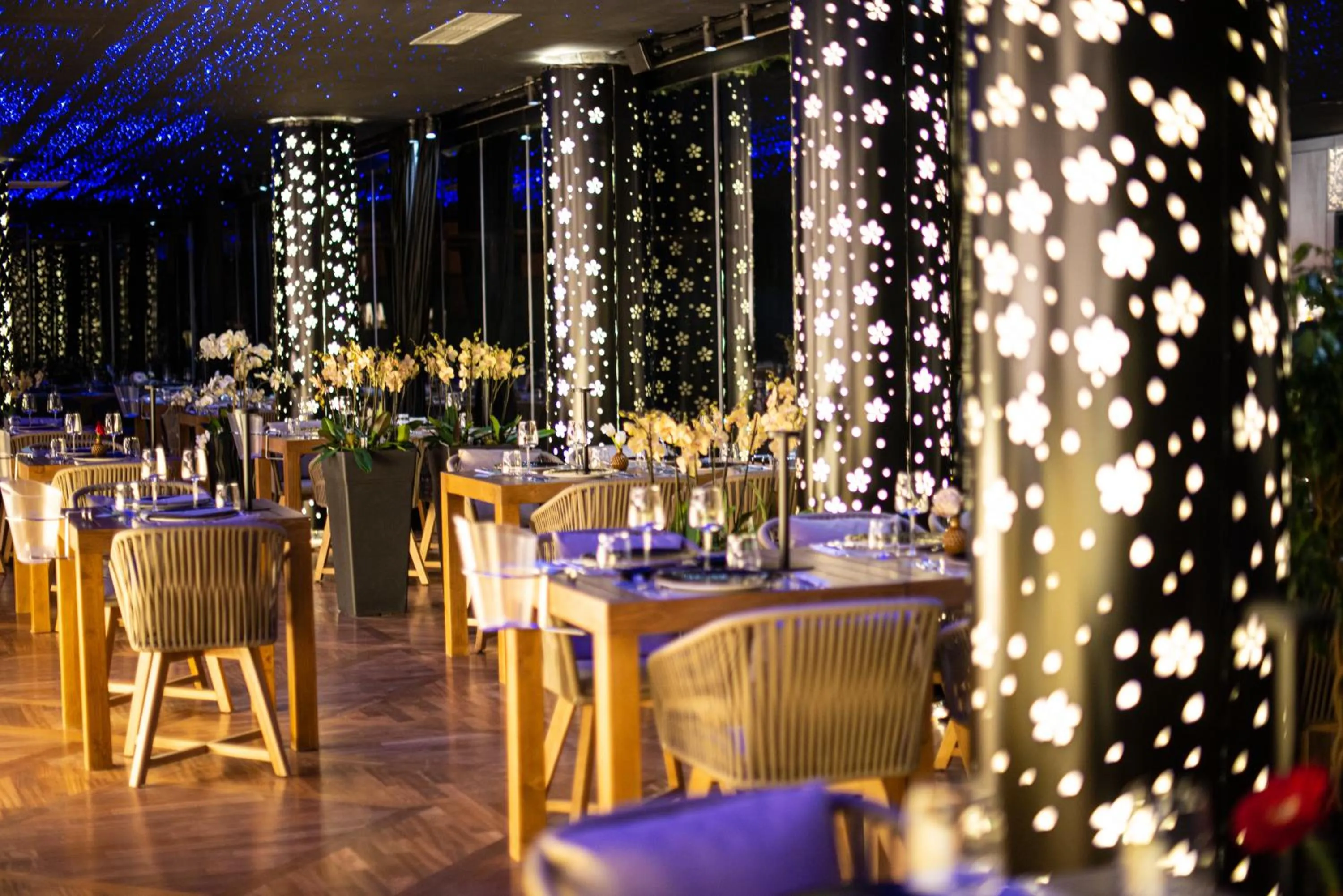 Restaurant/places to eat in Arka Art Hotel