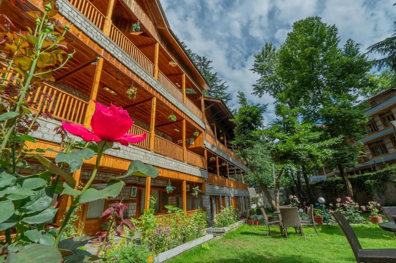 Mountain view in Hotel Negi's Mayflower A heritage Since 1965