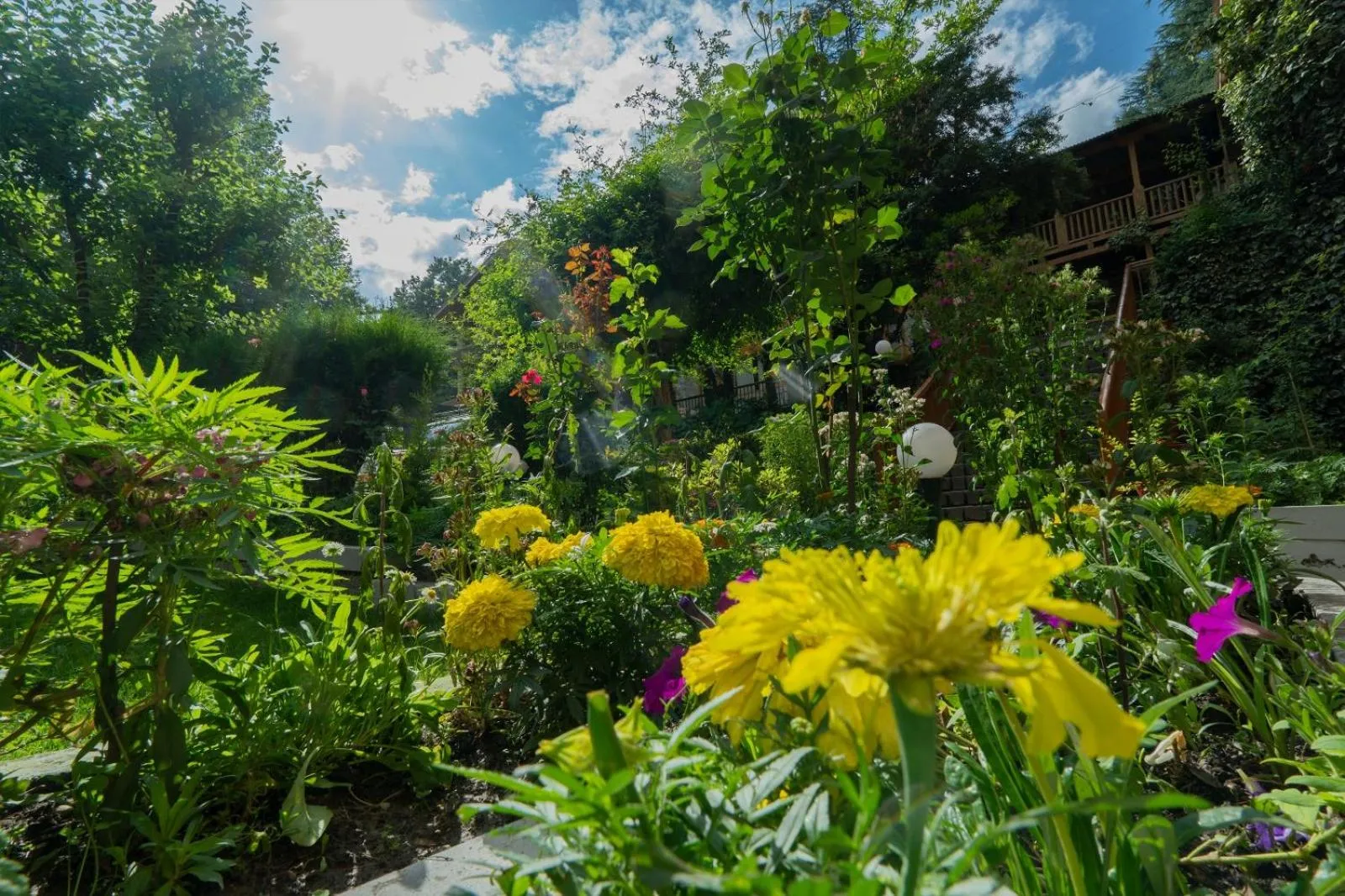 Day in Hotel Negi's Mayflower A heritage Since 1965