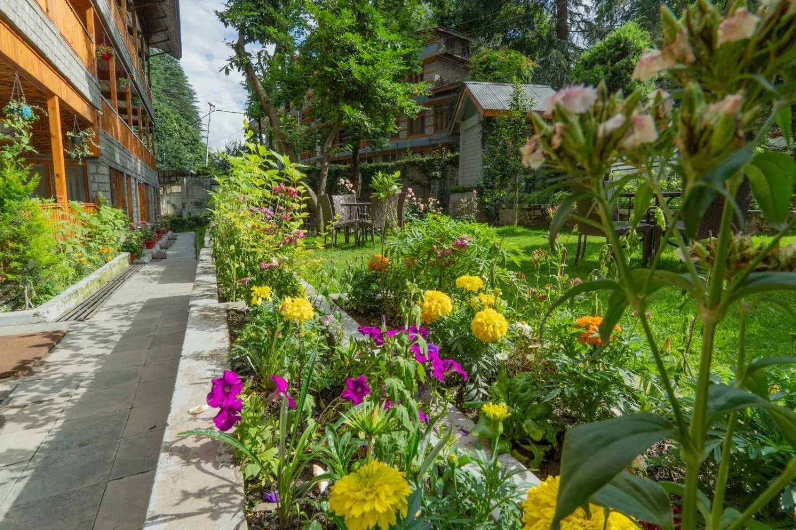 Day in Hotel Negi's Mayflower A heritage Since 1965