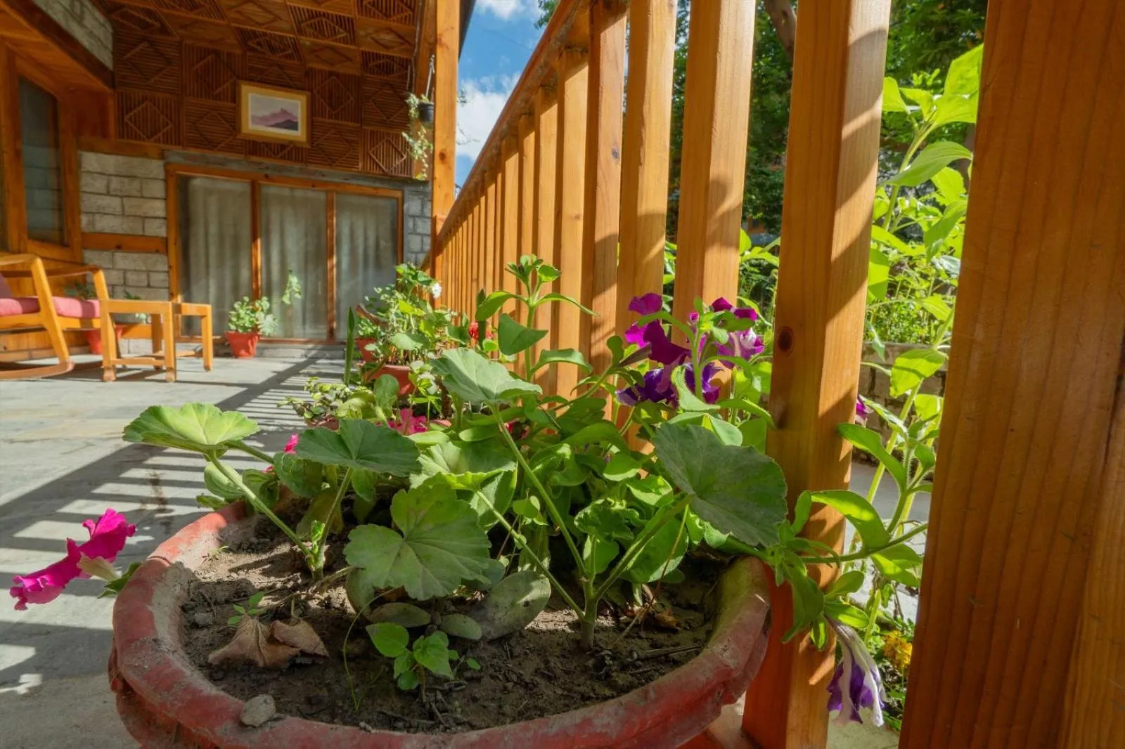 Day in Hotel Negi's Mayflower A heritage Since 1965