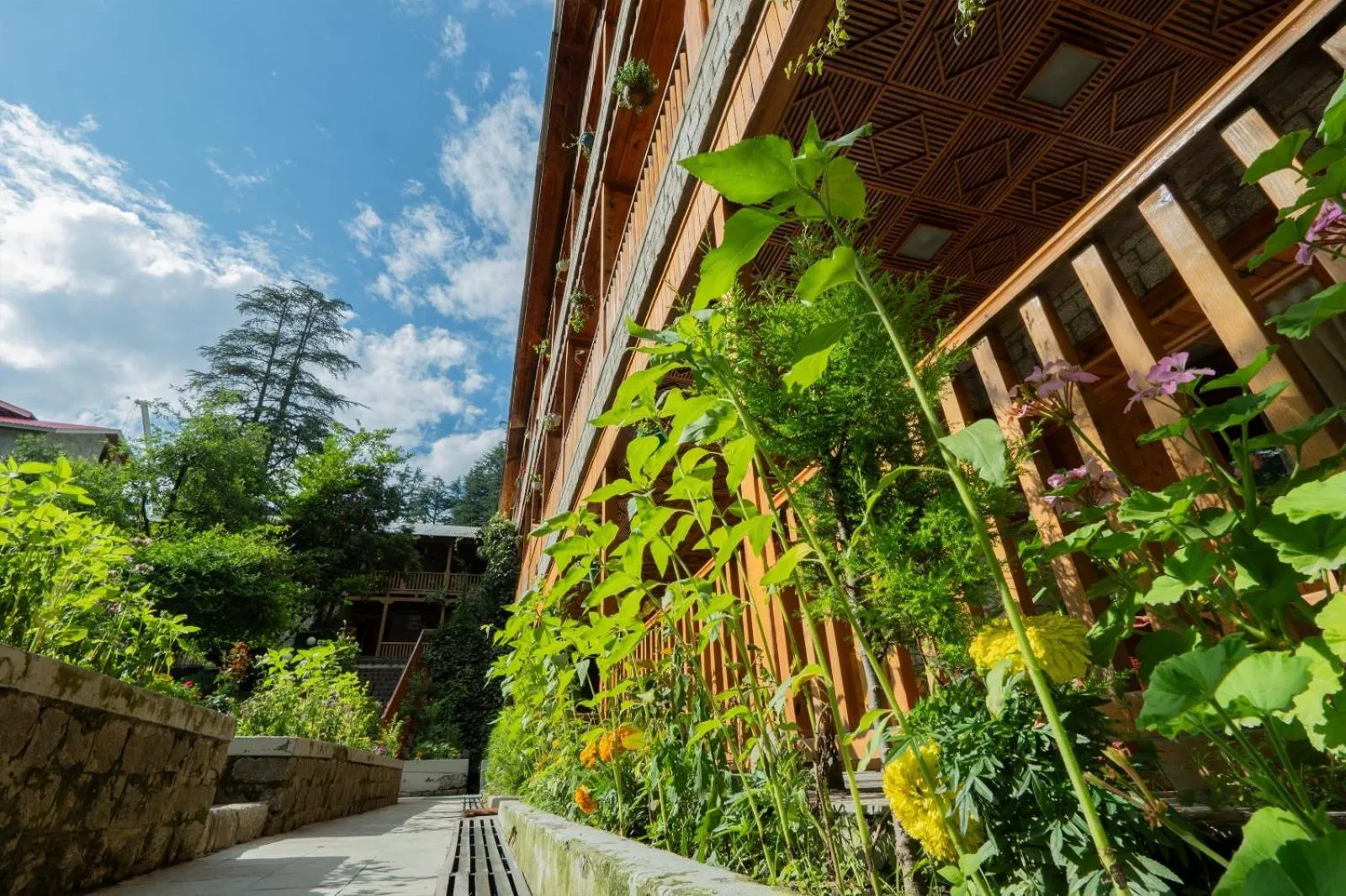 Property building in Hotel Negi's Mayflower A heritage Since 1965