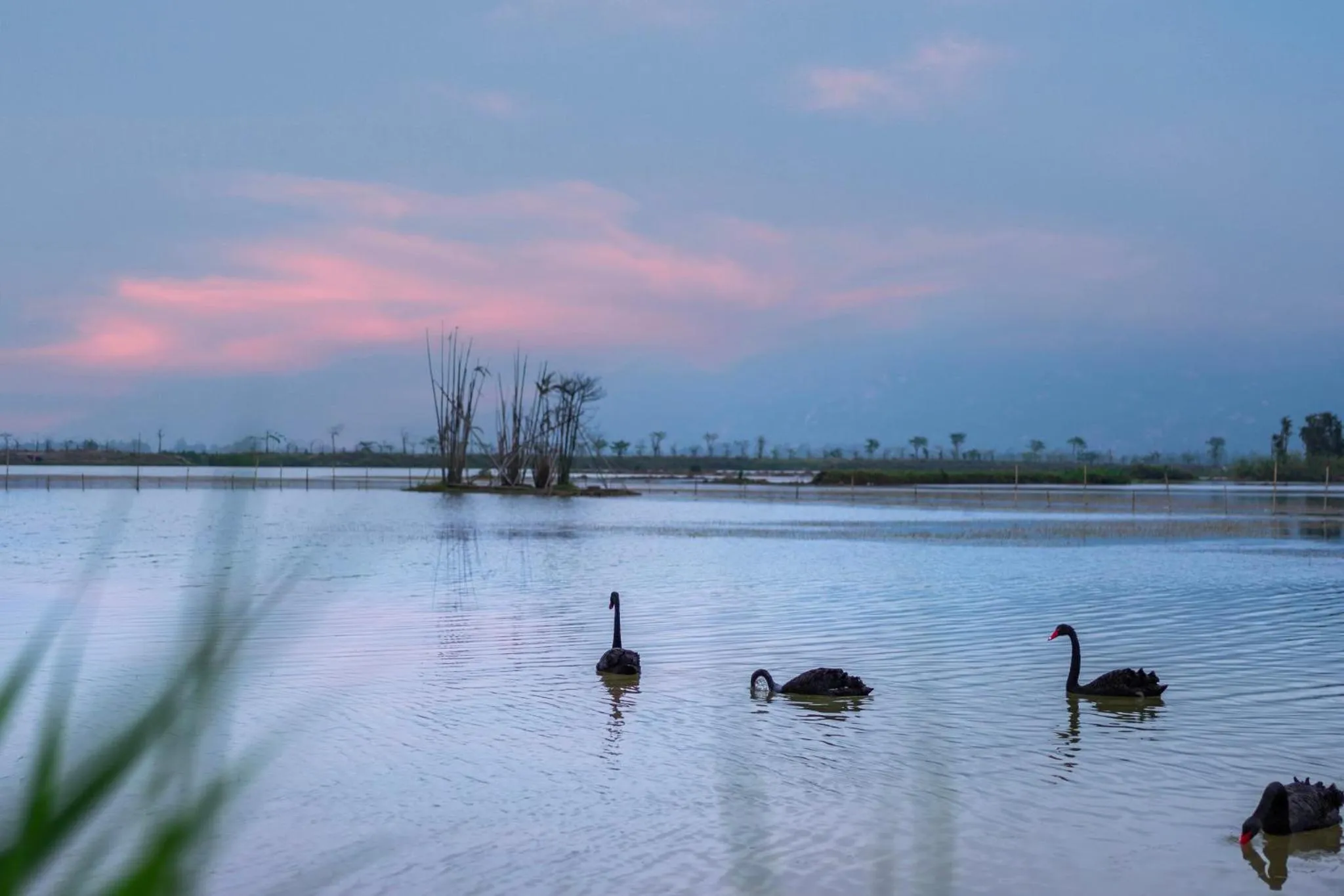 Nearby landmark in Holiday Inn Express Jiangmen Yinhu Bay by IHG