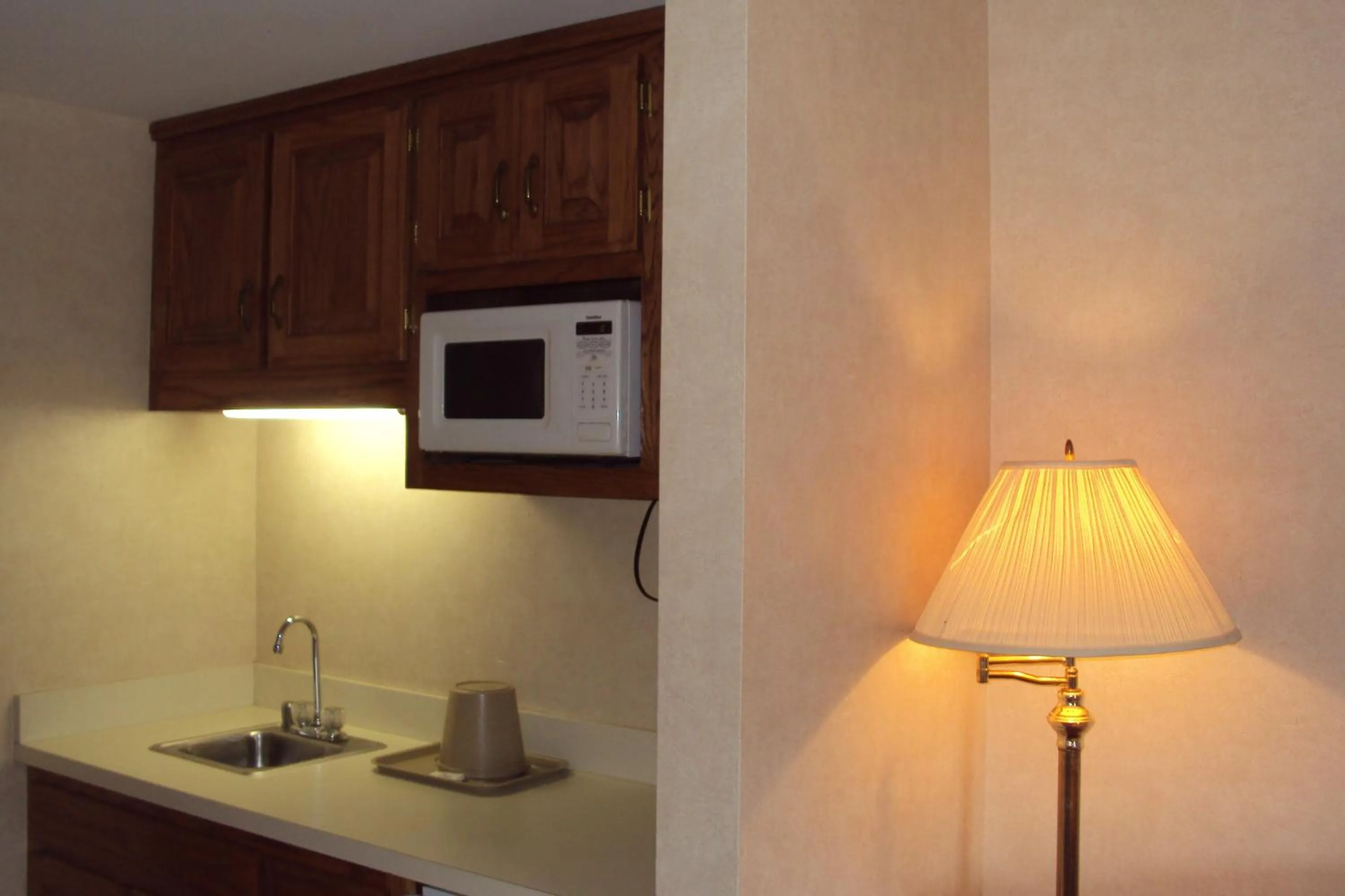 Kitchen or kitchenette in Executive Inn