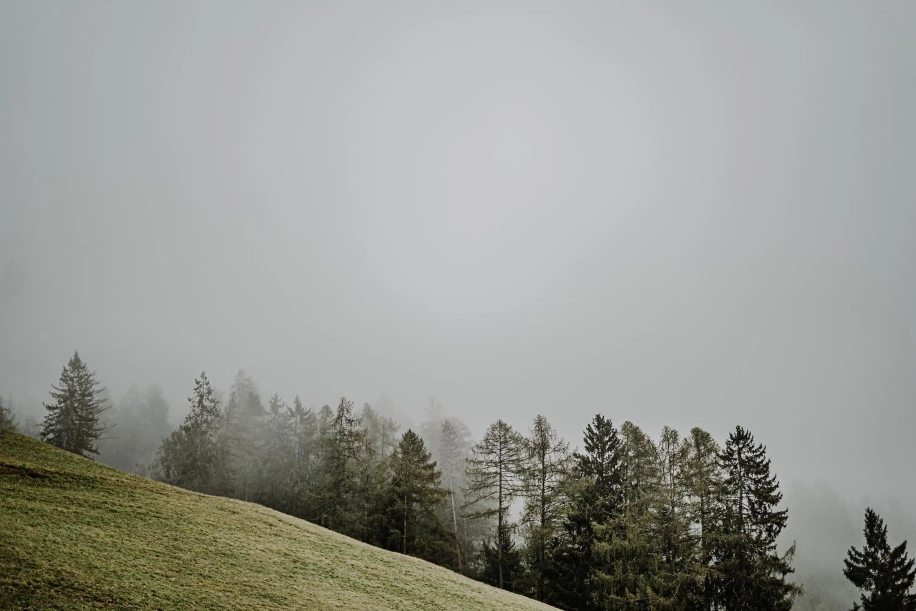 Natural landscape in Aparthotel My Daum