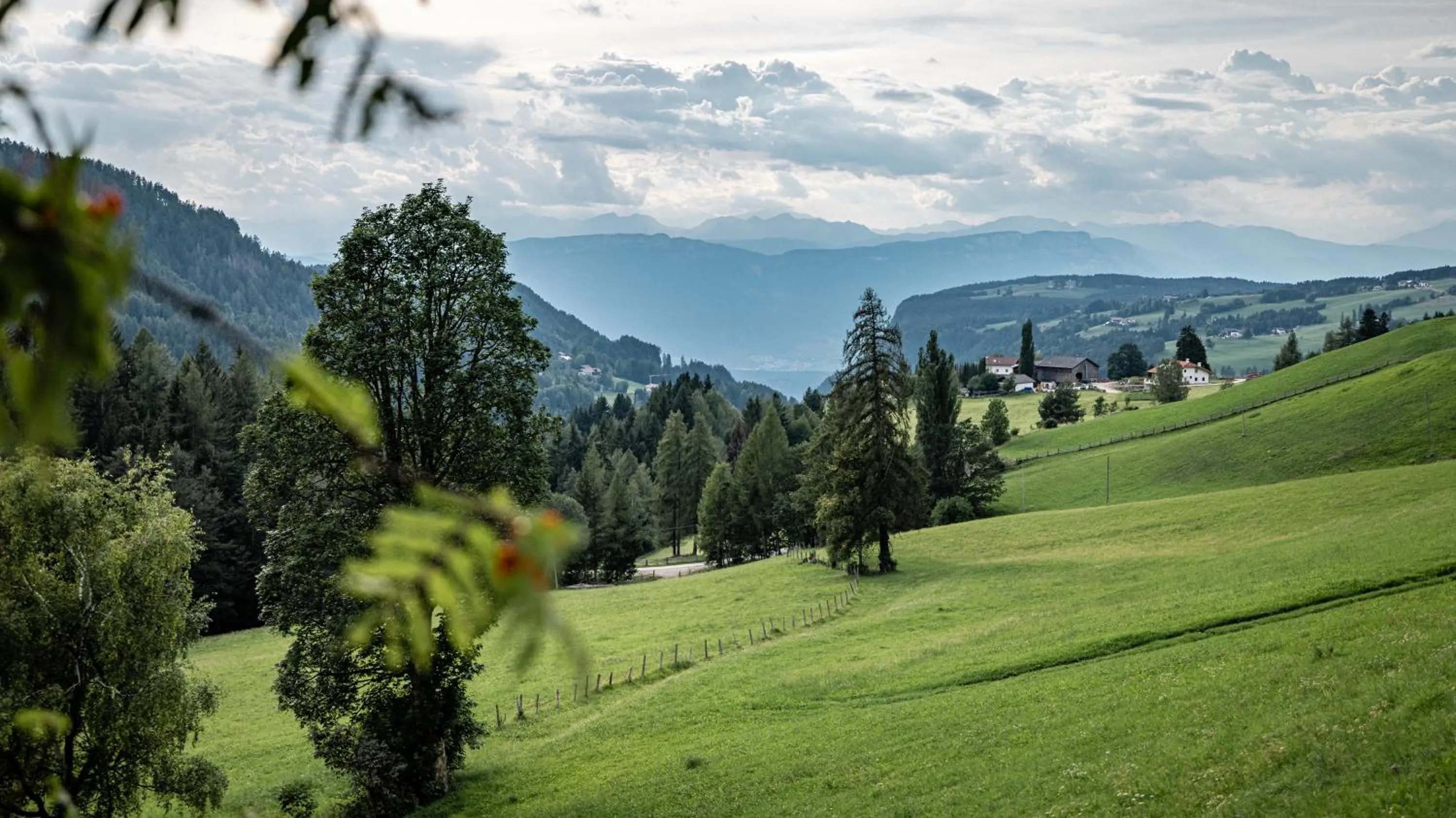 Natural landscape in Aparthotel My Daum