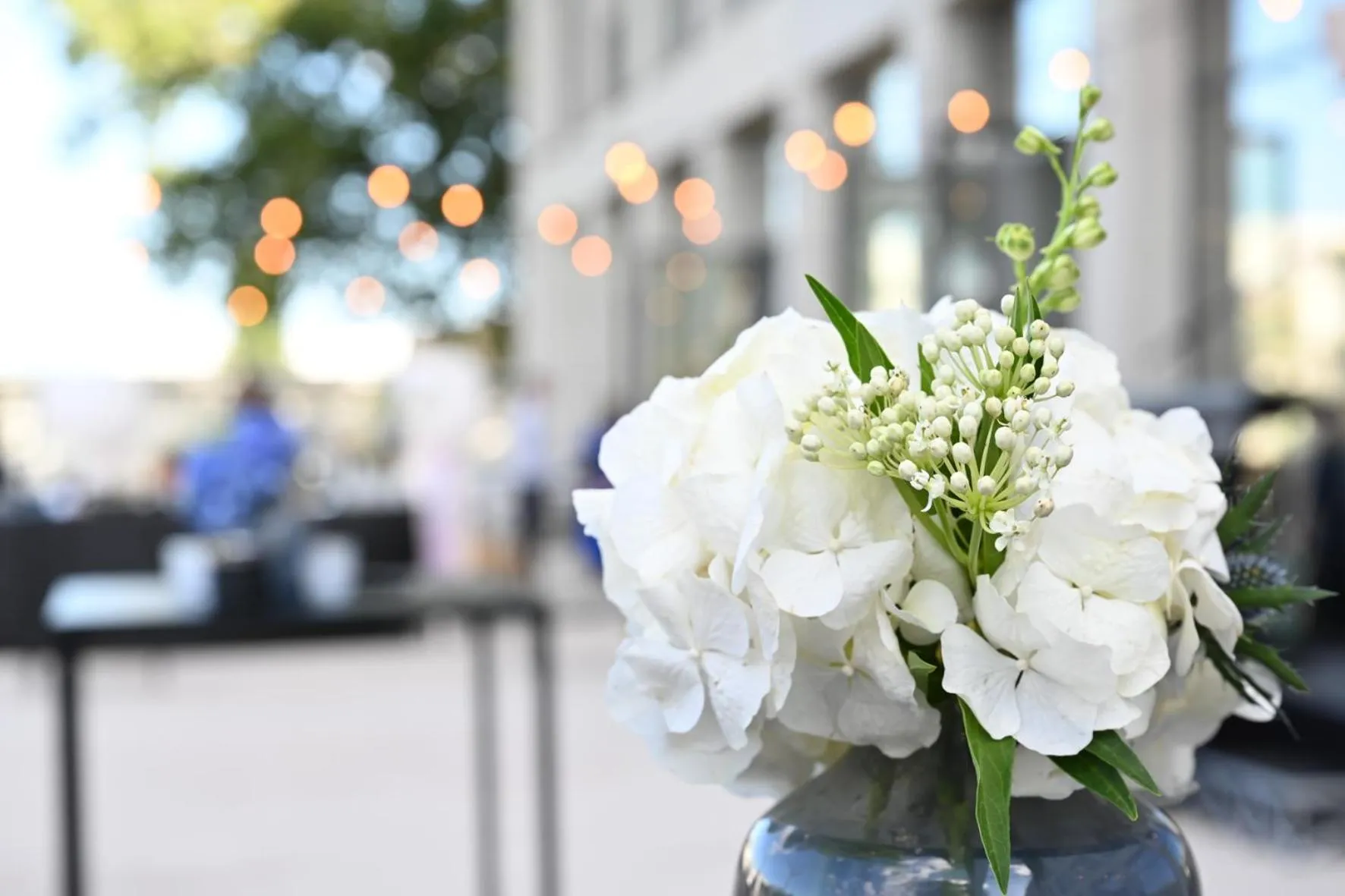 Garden in The Ruck Hotel