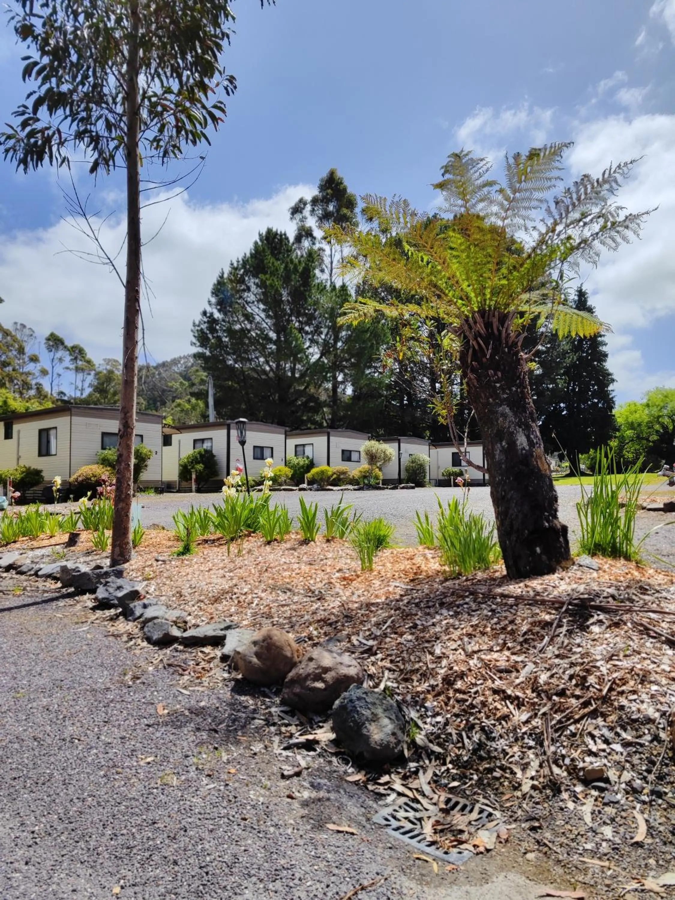 Property building in Zeehan Bush Camp