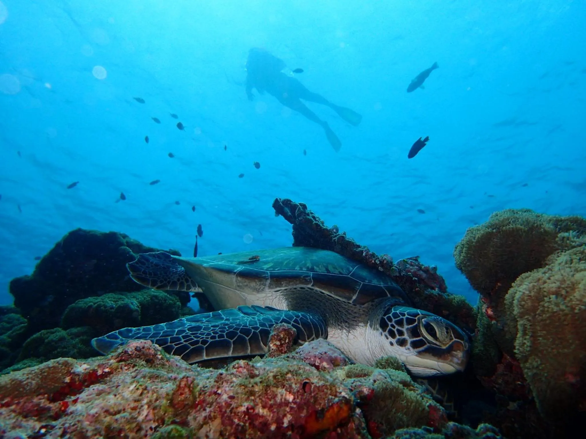 Activities in Manta Reserve