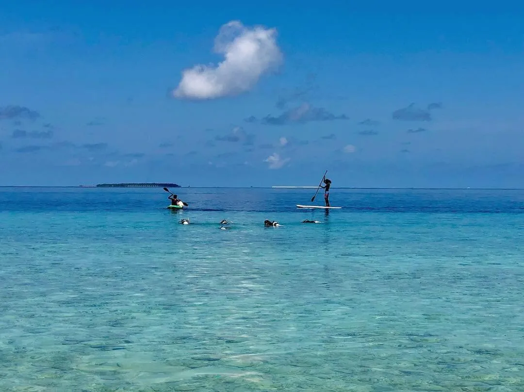 Activities in Manta Reserve