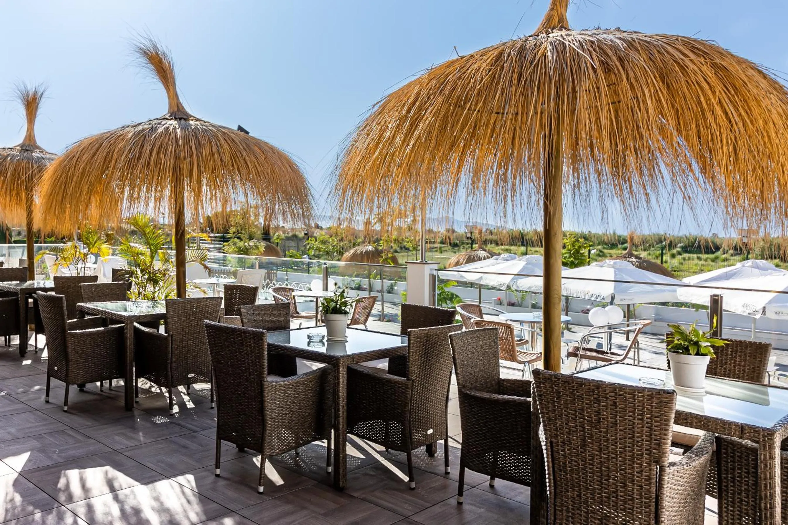 Restaurant/places to eat in Hotel Avenida Tropical by Bossh! Hotels