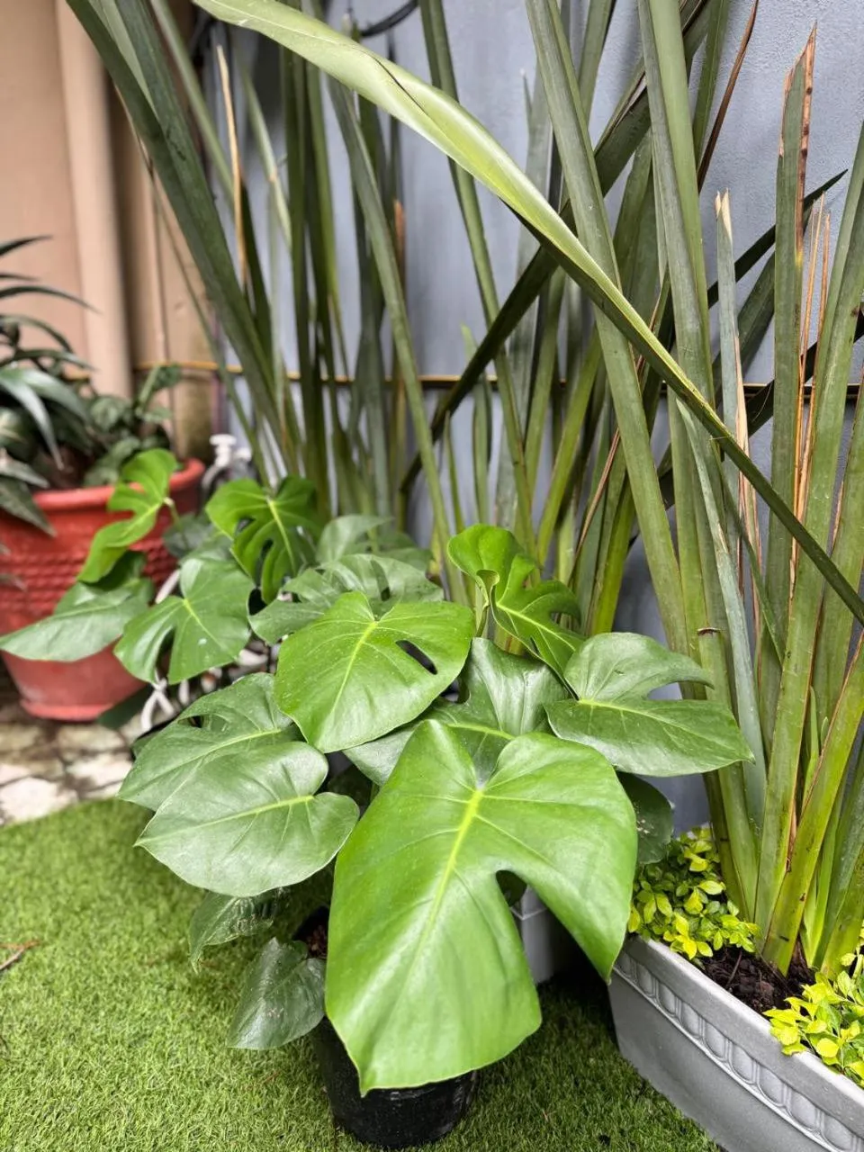 Apartamentos "Ala Residencias"