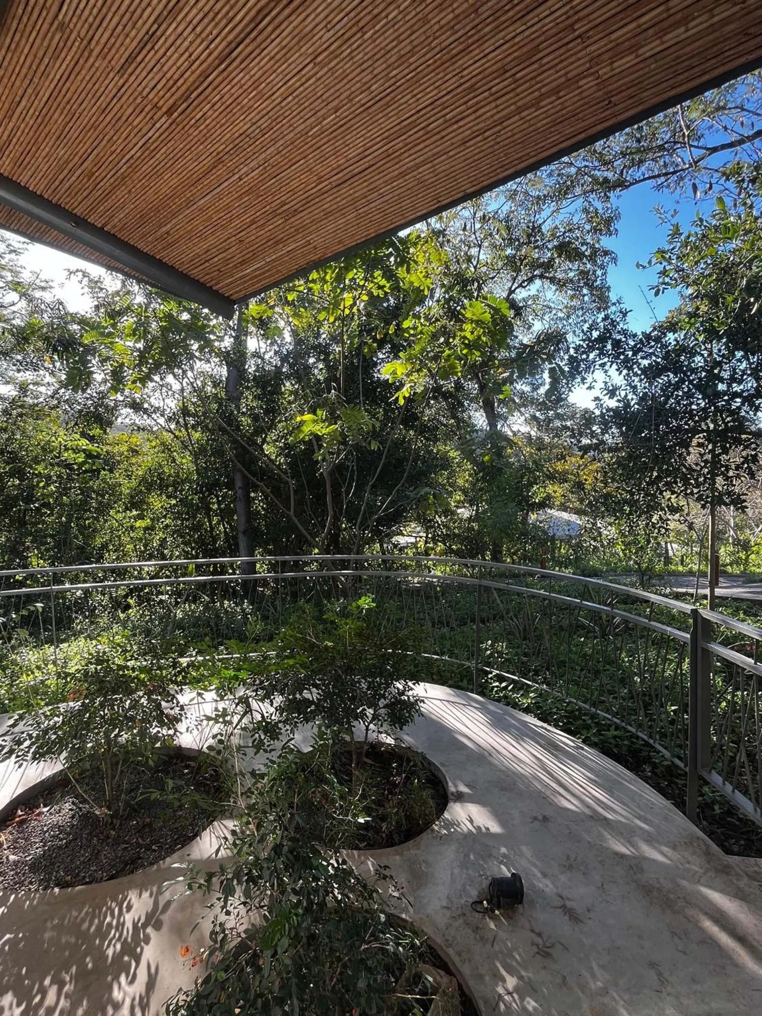 Garden in Suitree Experience Hotel