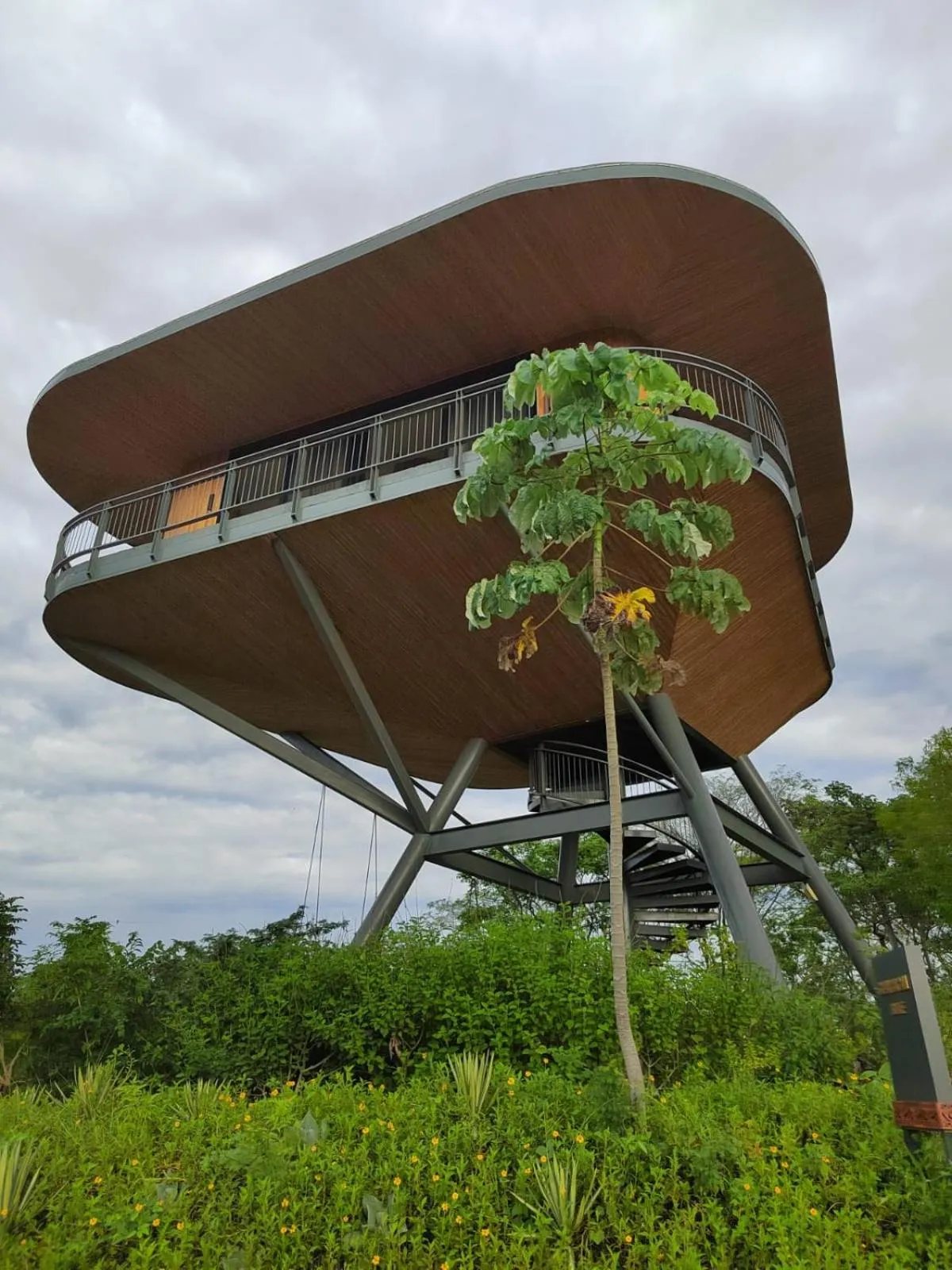 Natural landscape in Suitree Experience Hotel