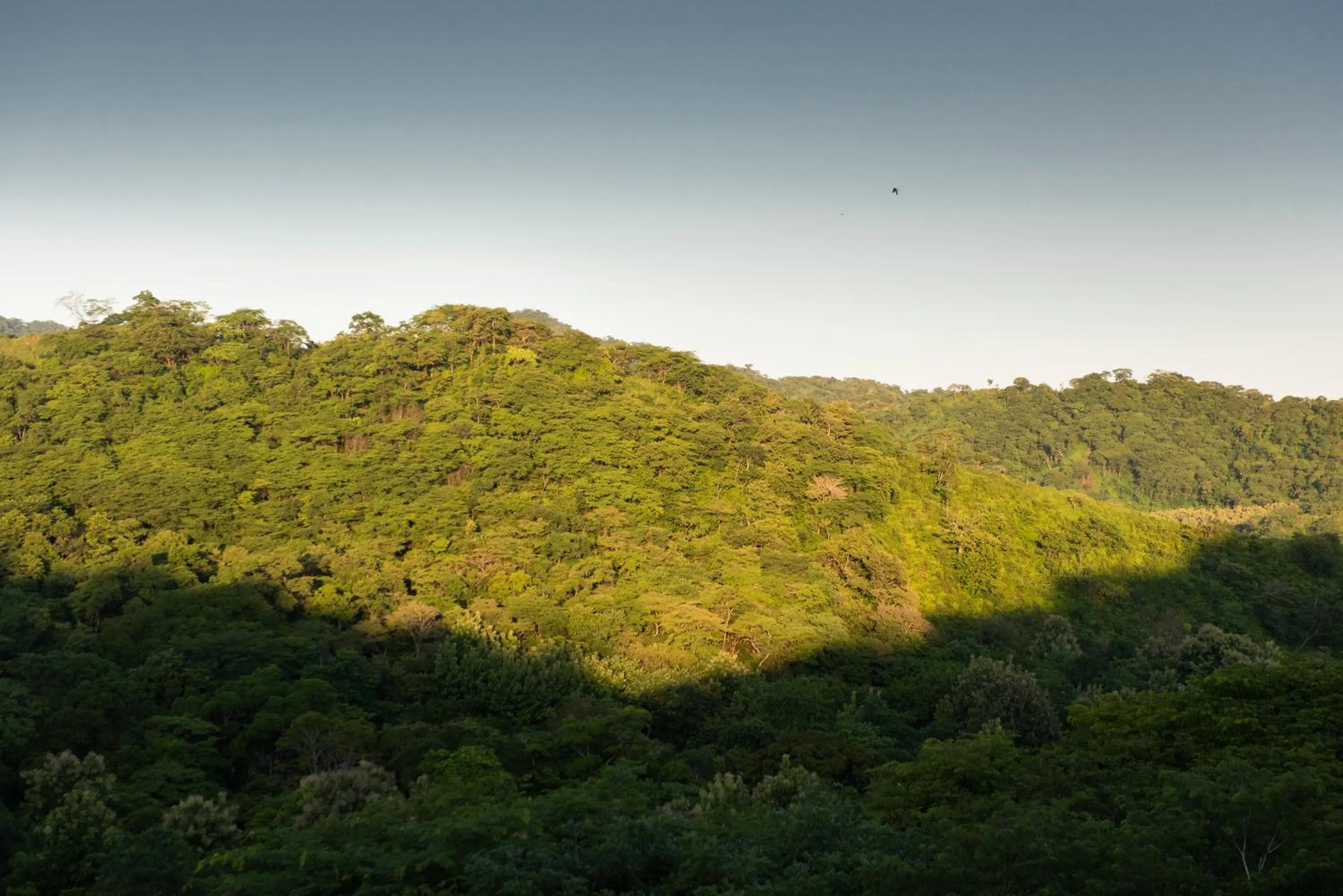 Hiking in Suitree Experience Hotel