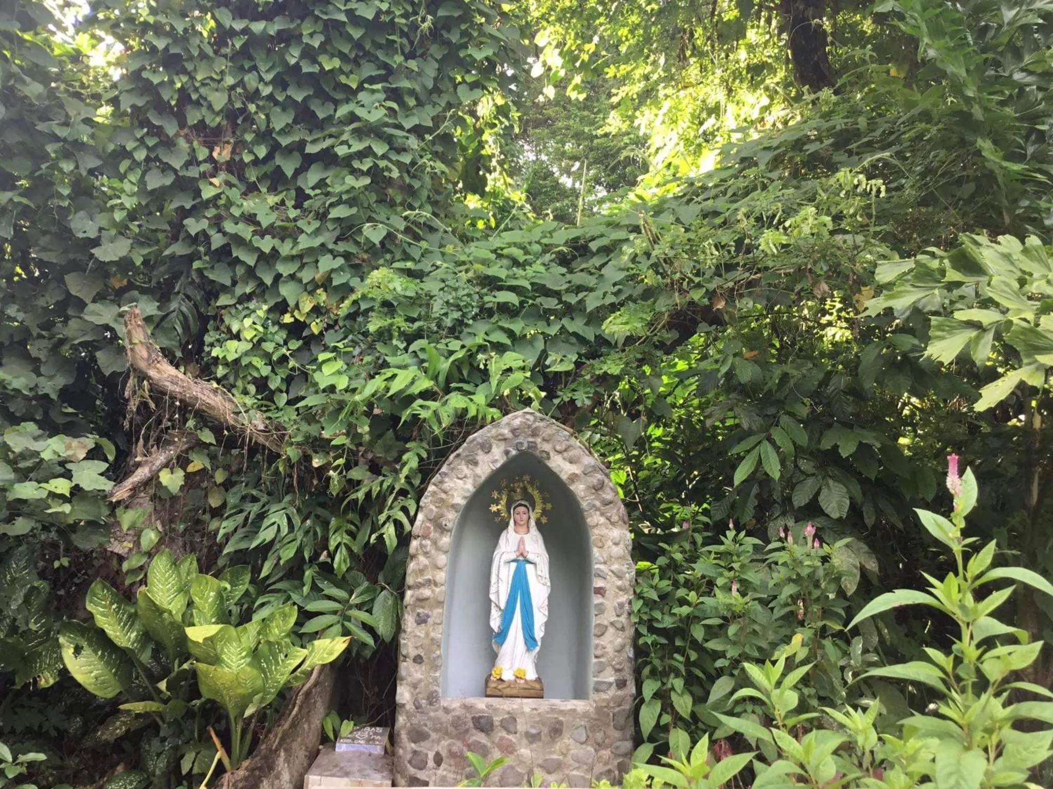 Garden in Camiguin Lanzones Resort