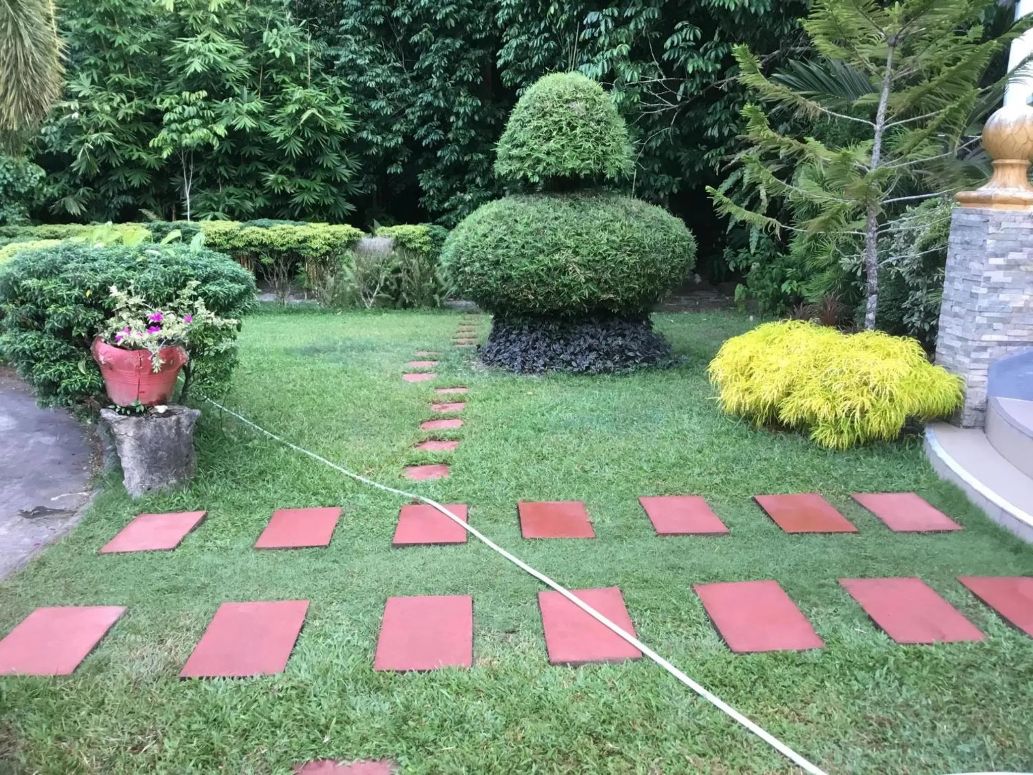Garden in Camiguin Lanzones Resort
