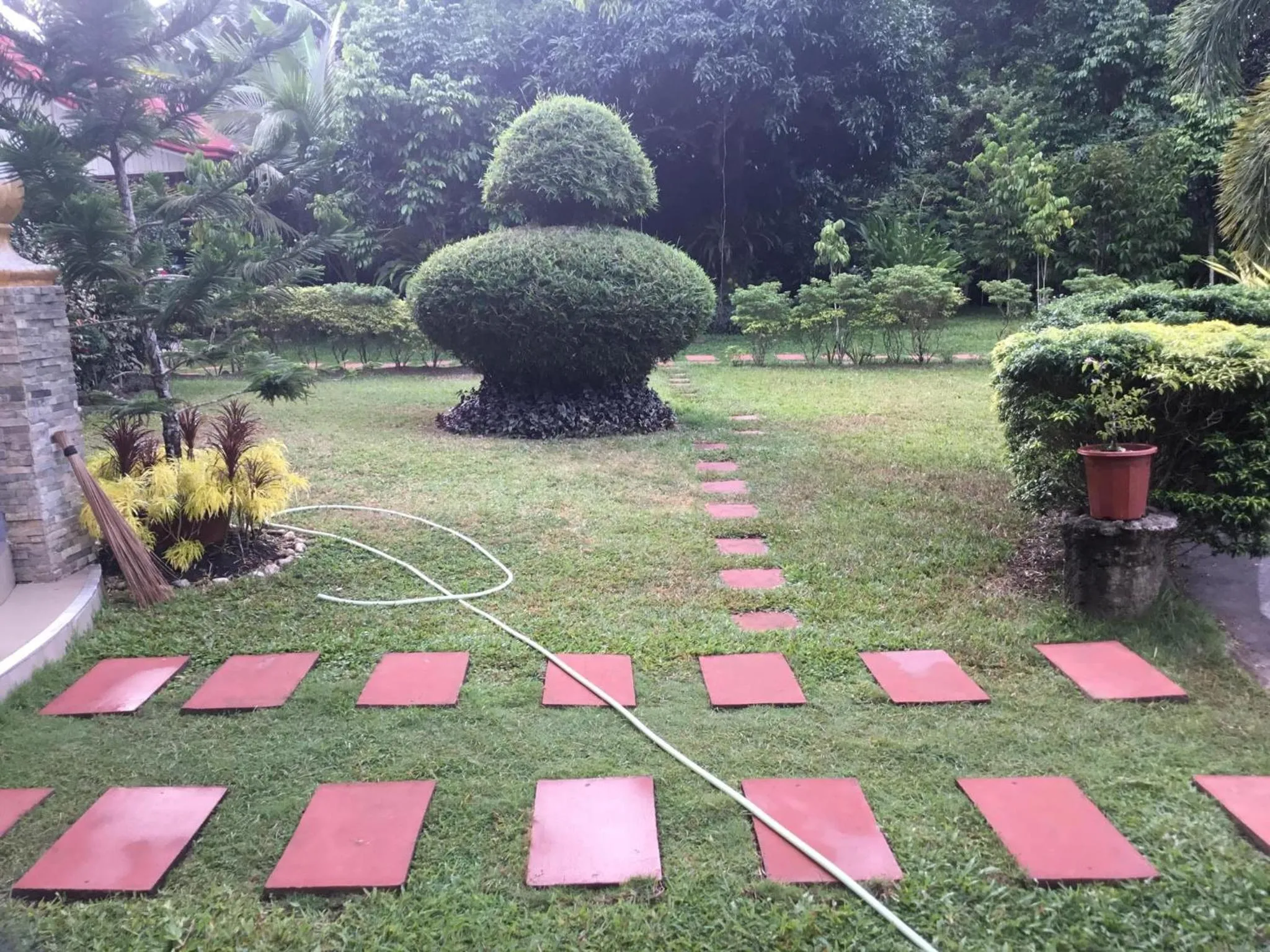 Garden in Camiguin Lanzones Resort
