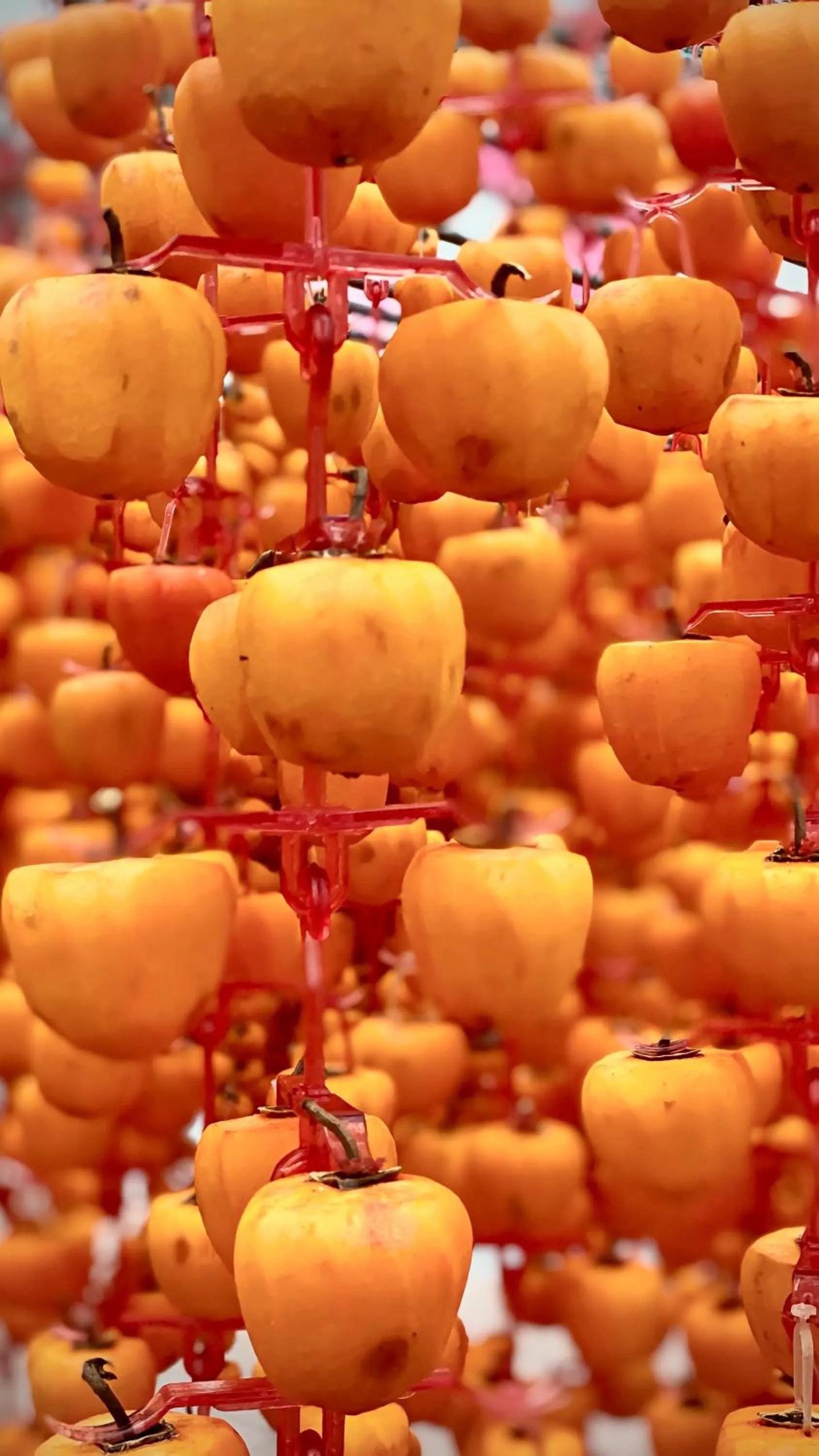 Off site in Tường Vy Dalat Central