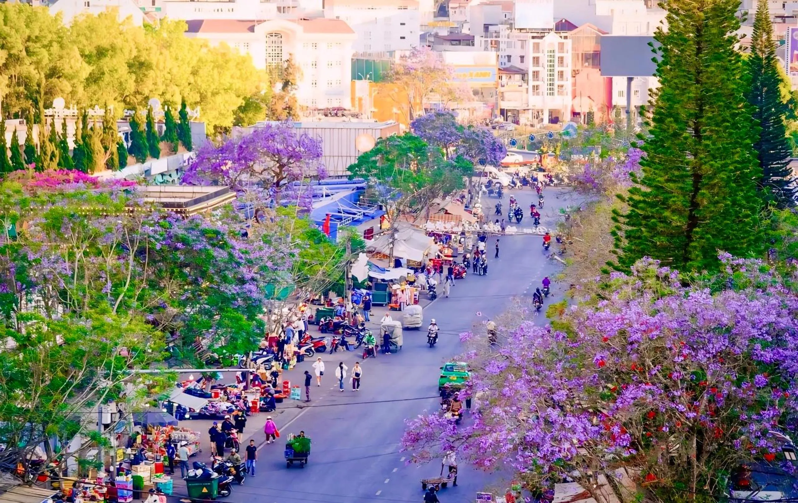 People in Tường Vy Dalat Central