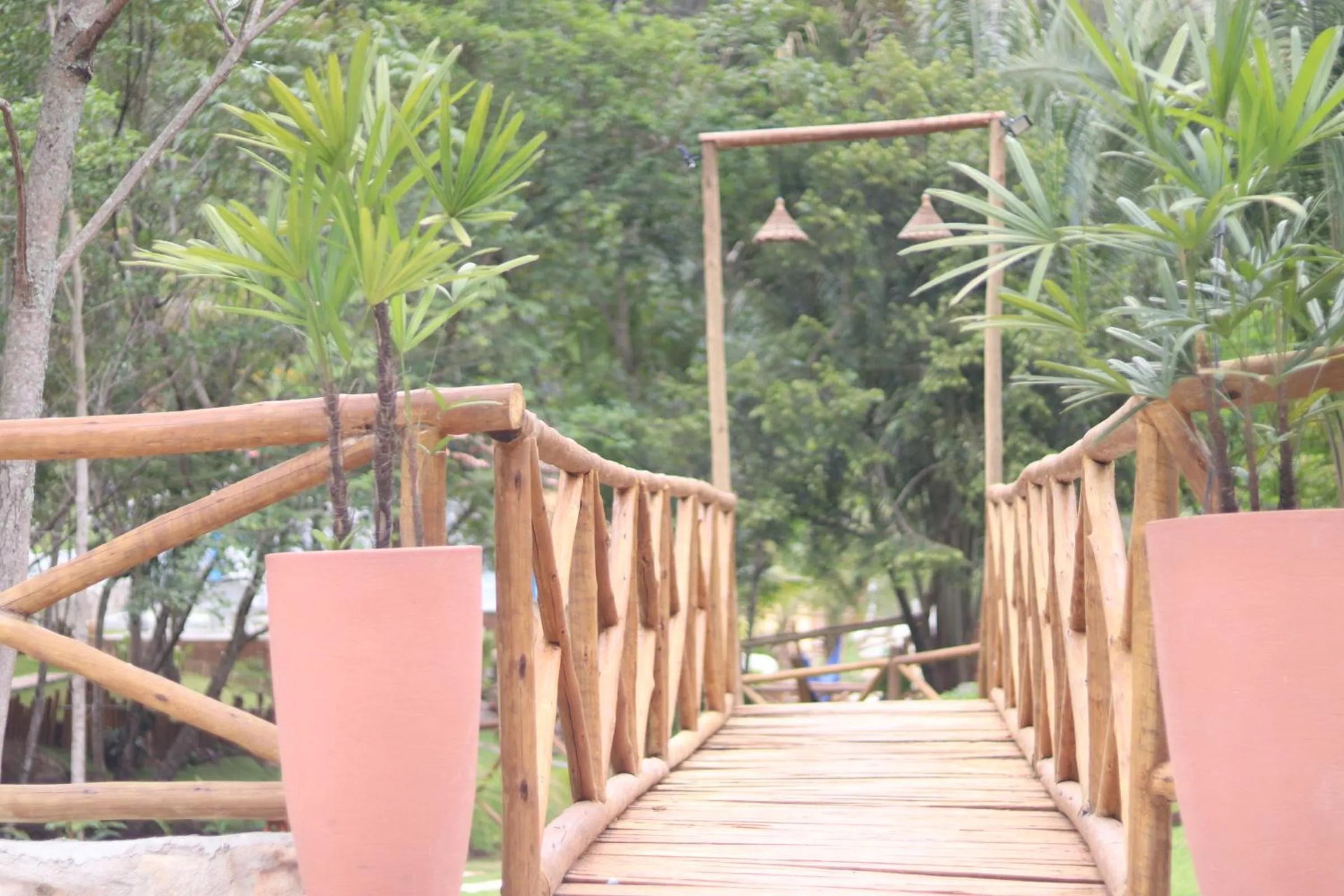 Natural landscape in Hotel Villa Babaçu