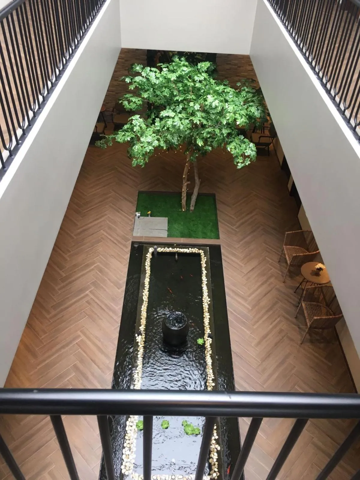 Garden view in Esma Family GuestHouse