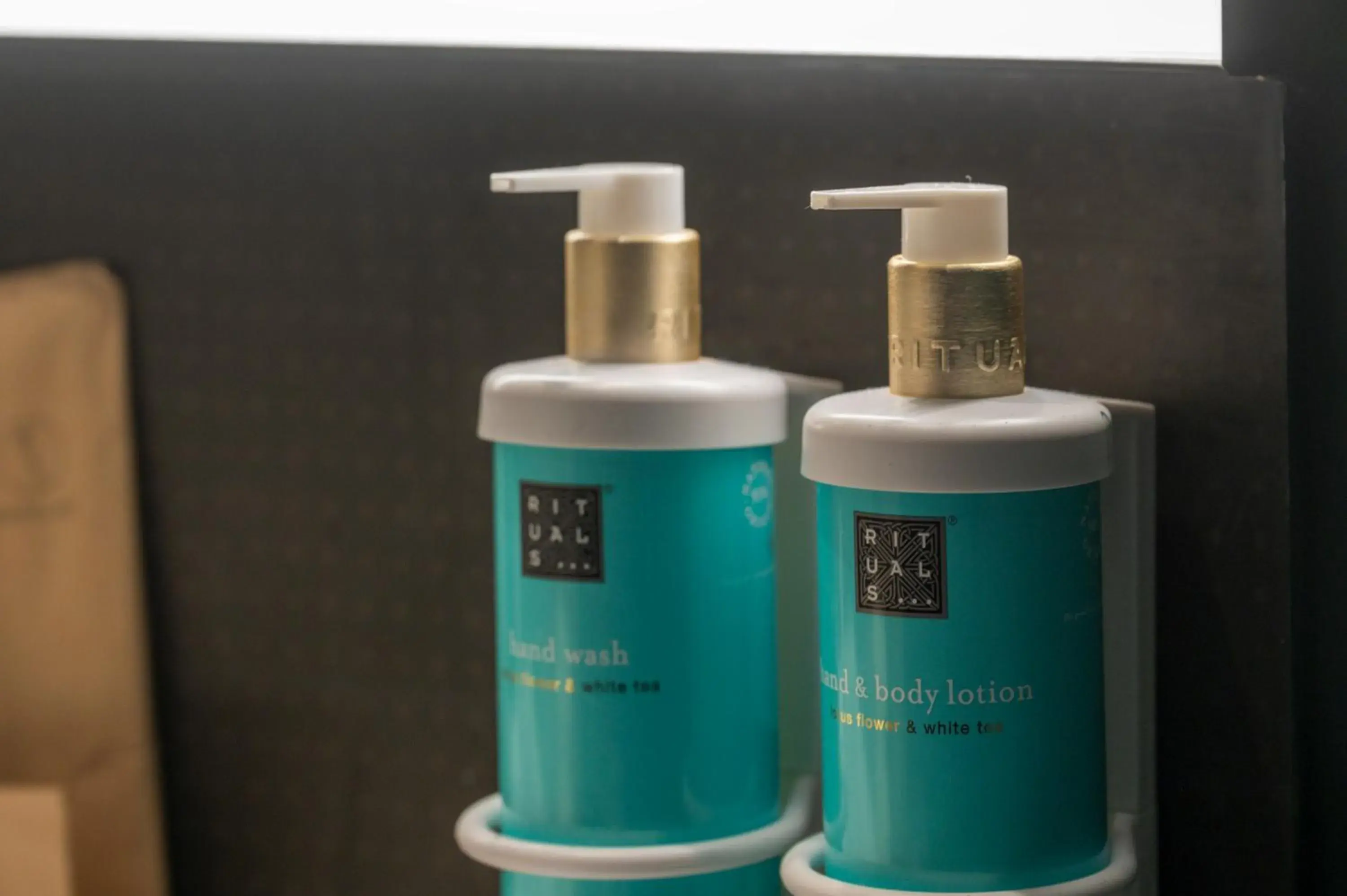 Executive Room in Novotel Valencia Lavant Executive Room in Novotel Valencia Lavant