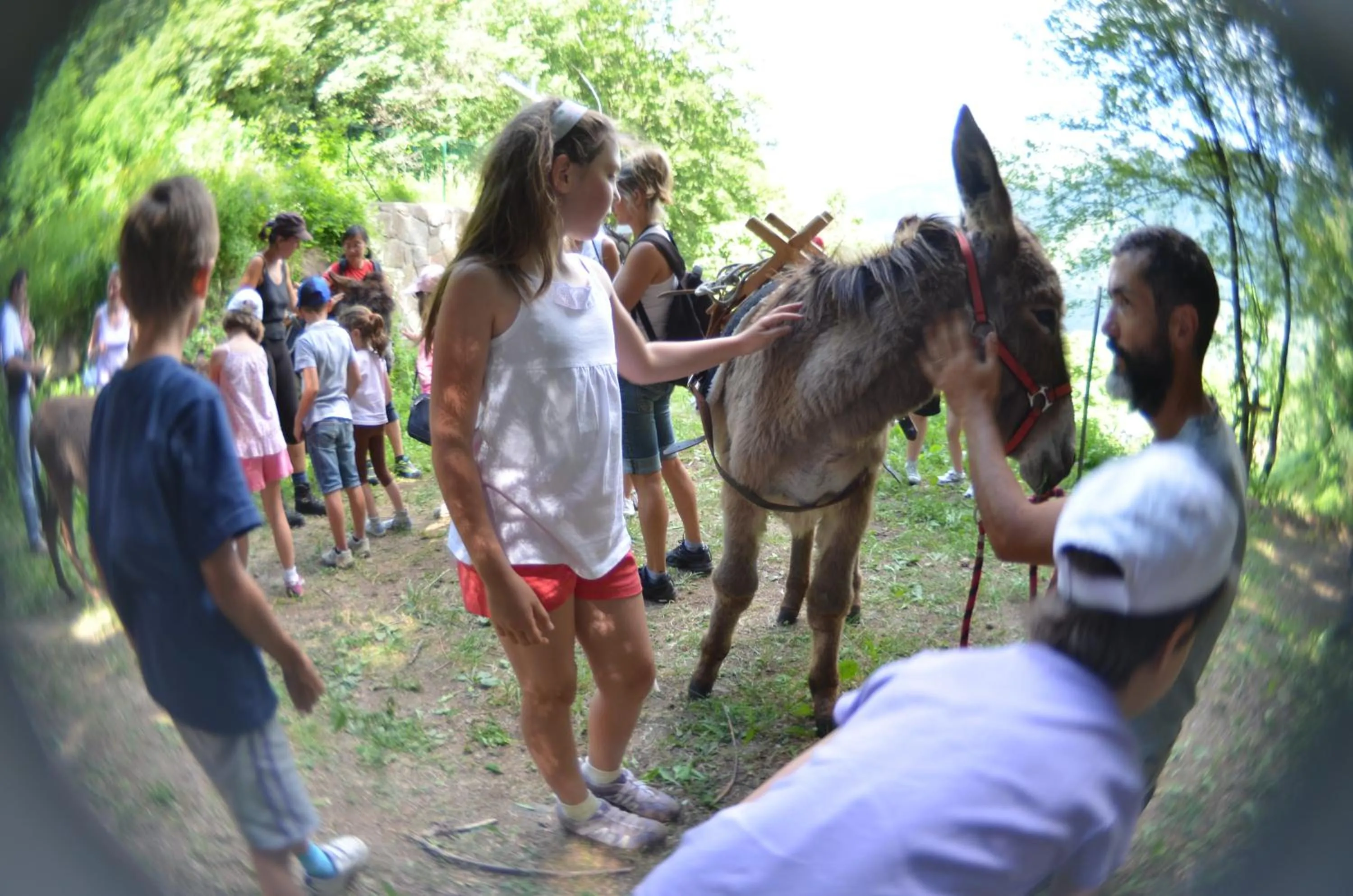 group of guests in Family Hotel Primavera