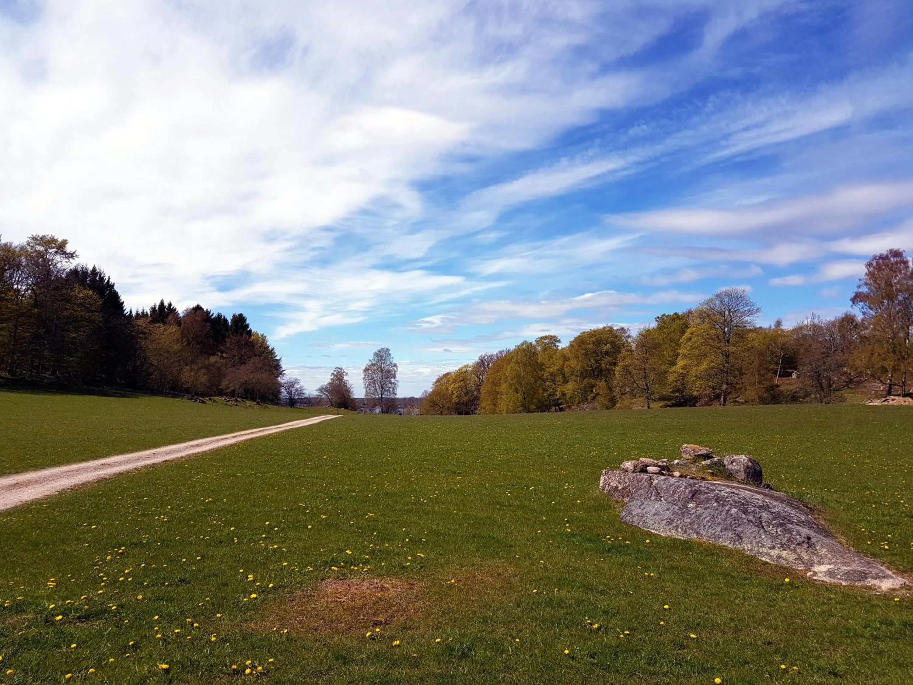 Natural landscape in Svalemåla Stugby