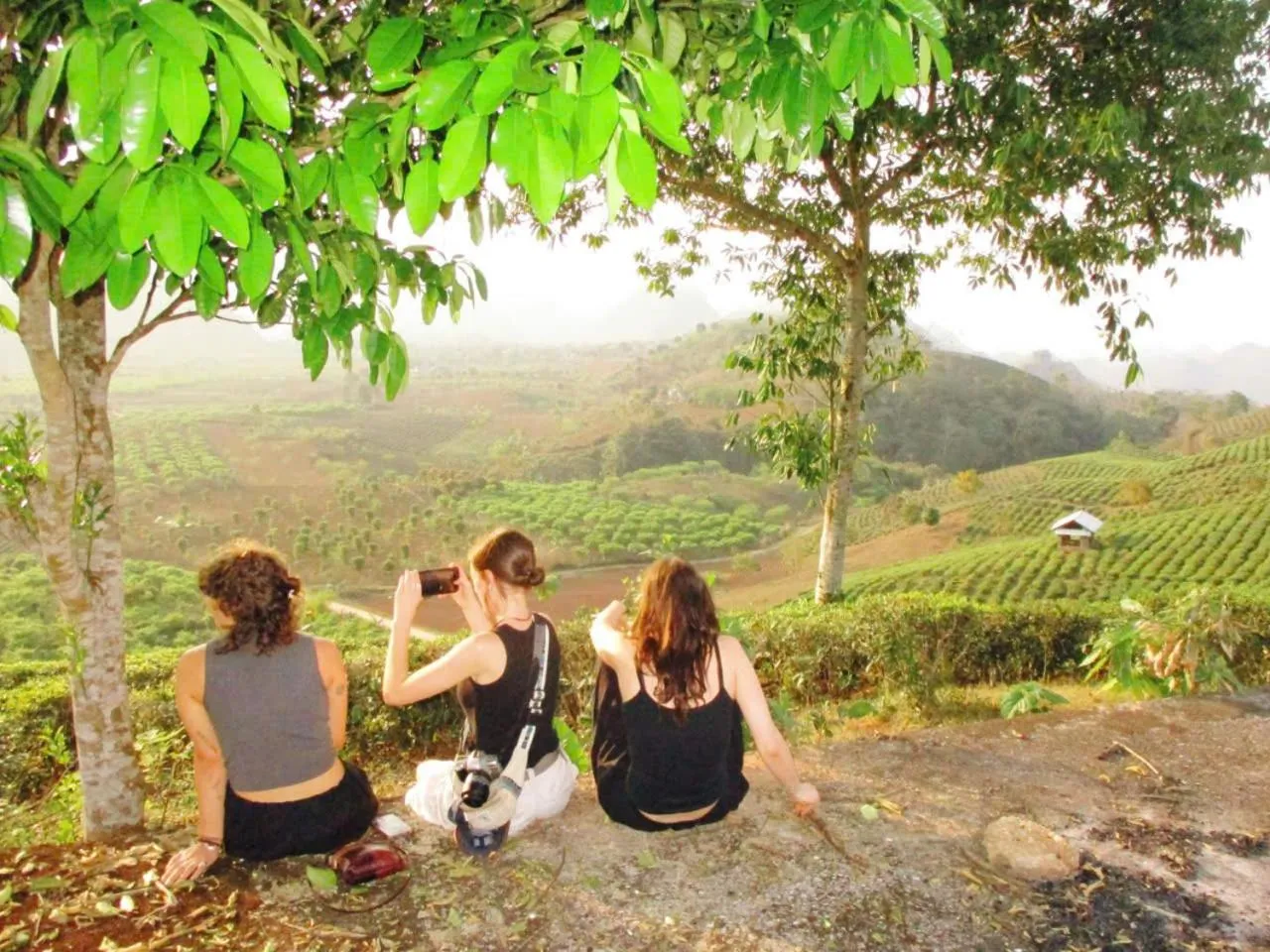 Natural landscape in Retreat Home Bản Dọi Mộc Châu