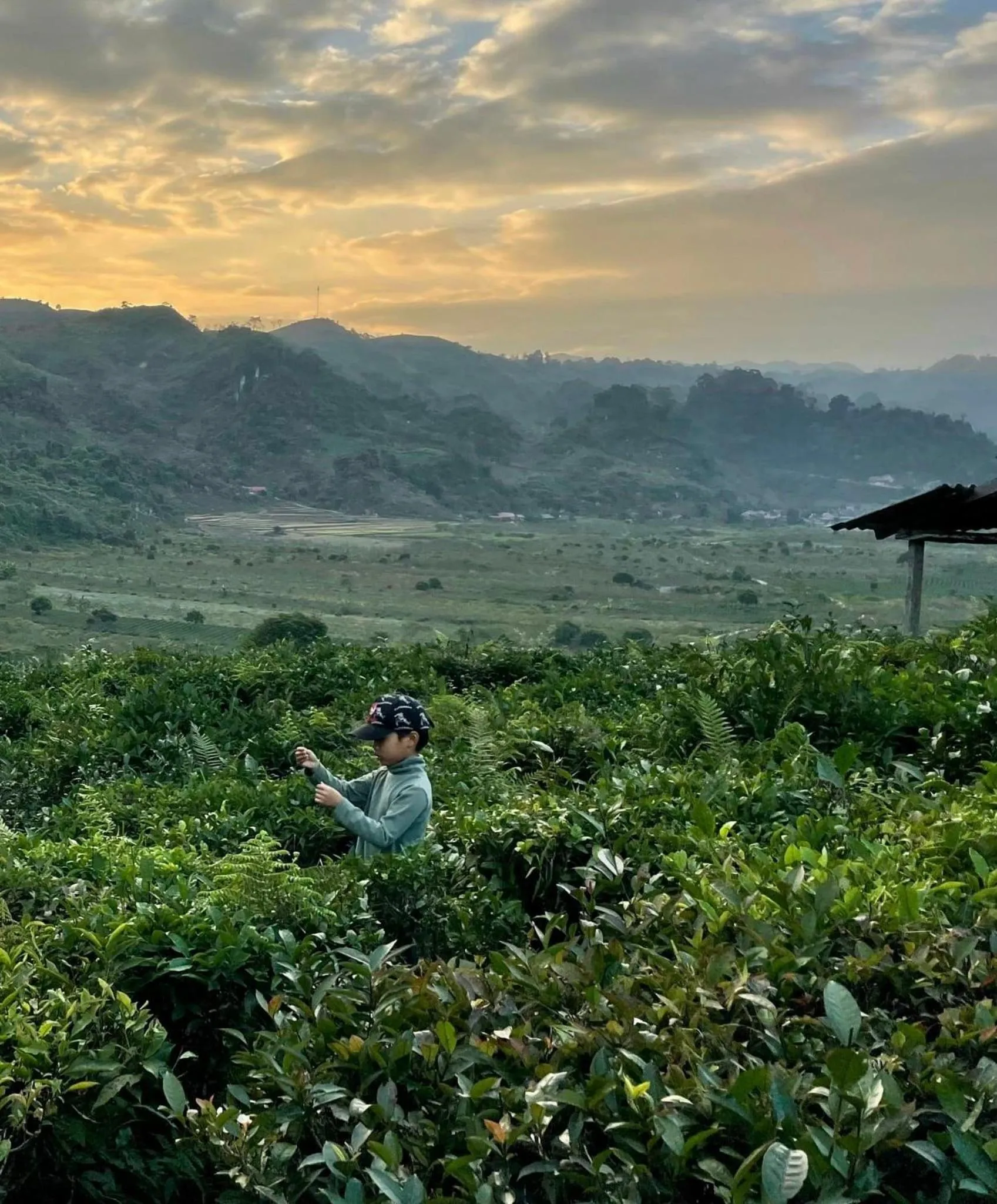 People in Retreat Home Bản Dọi Mộc Châu