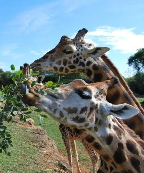 Day in Hotel San Juan