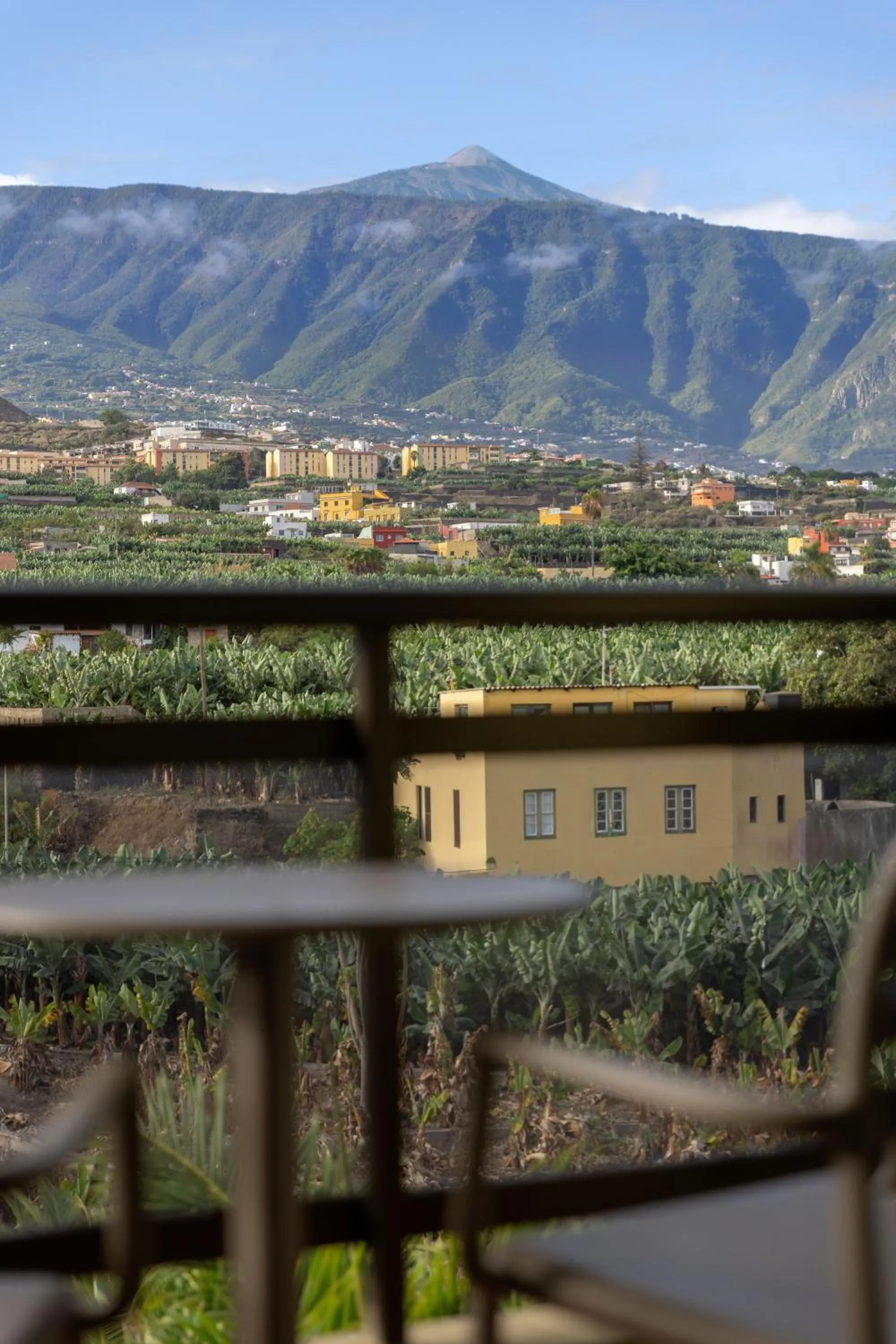 Natural landscape in AluaSoul Orotava Valley - Adults Only