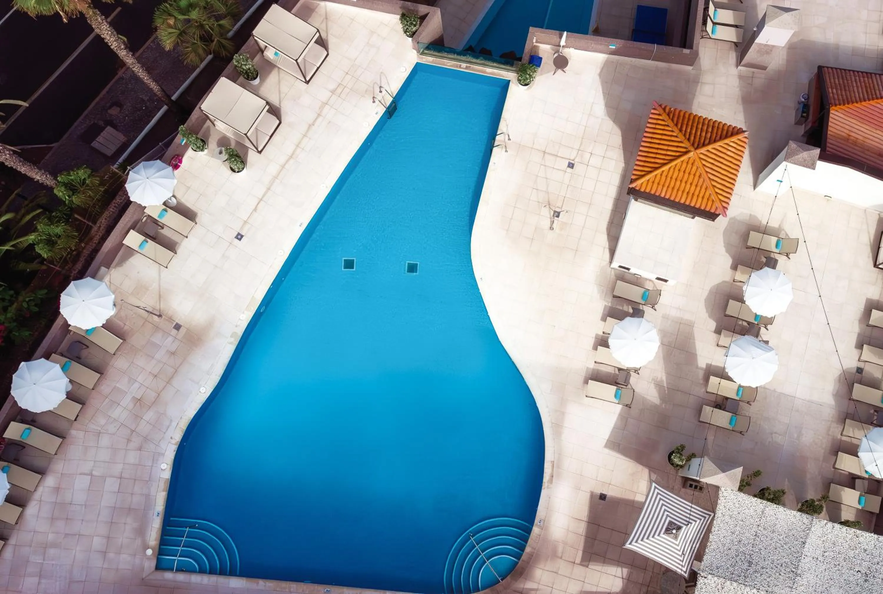 Swimming pool in AluaSoul Orotava Valley - Adults Only