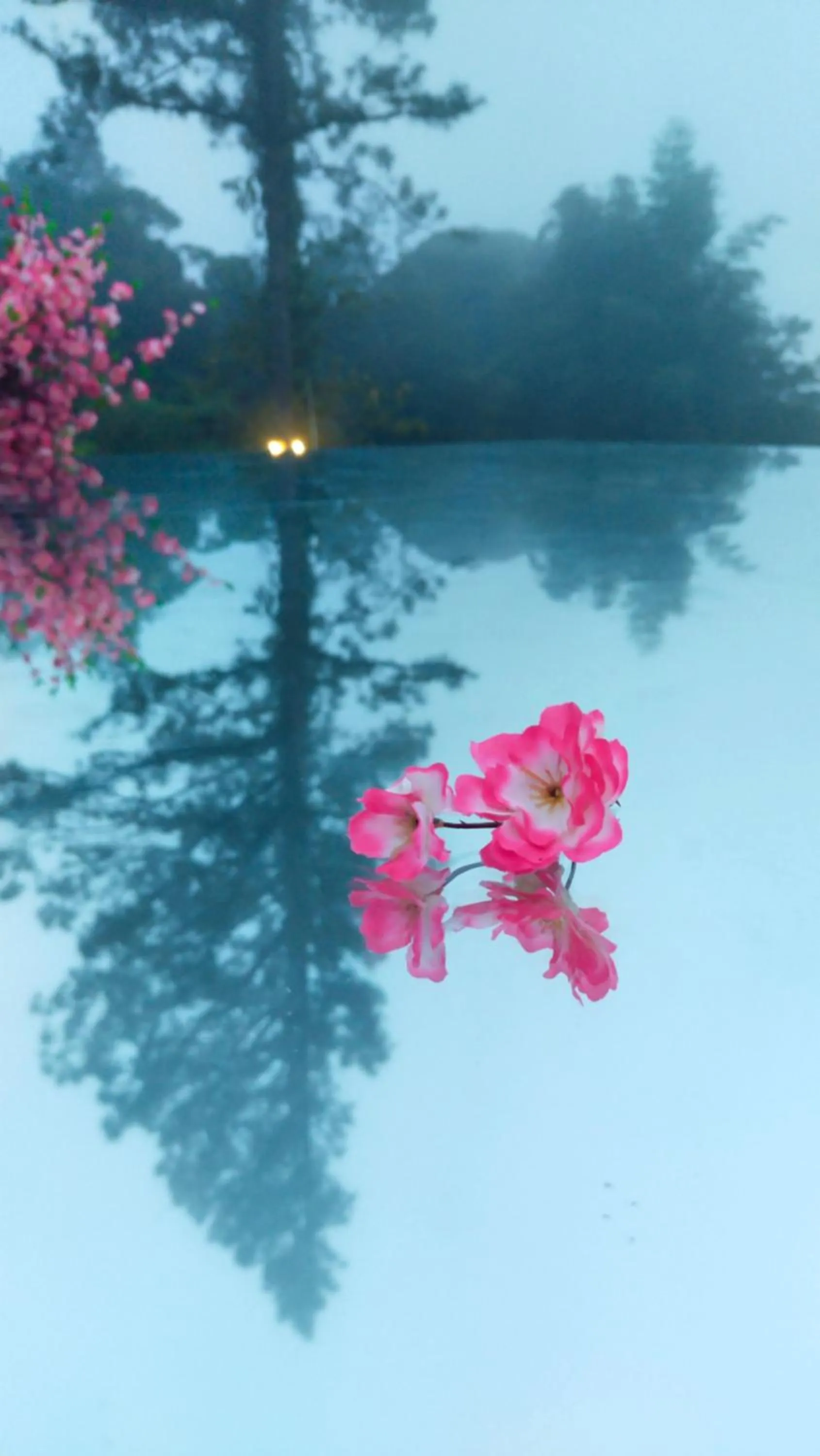 Garden in Happy Garden