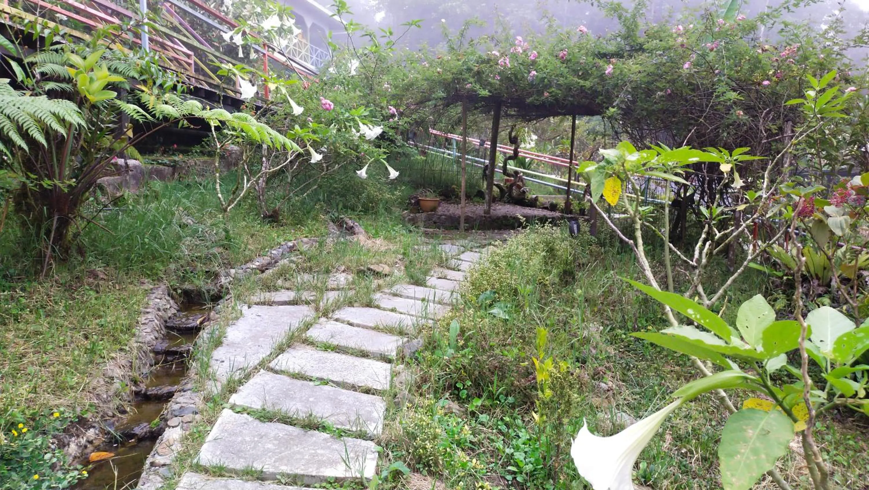 Garden in Happy Garden