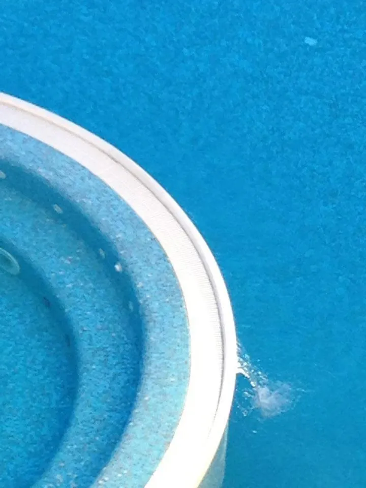 Swimming pool in Hotel Conchiglia