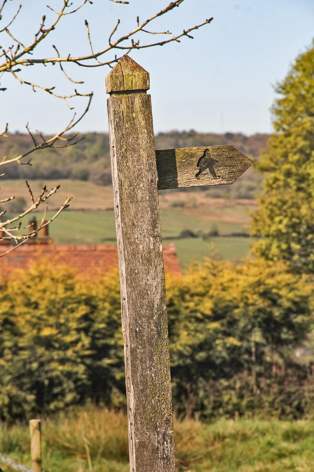 Natural landscape in Moorland View Farm B&B