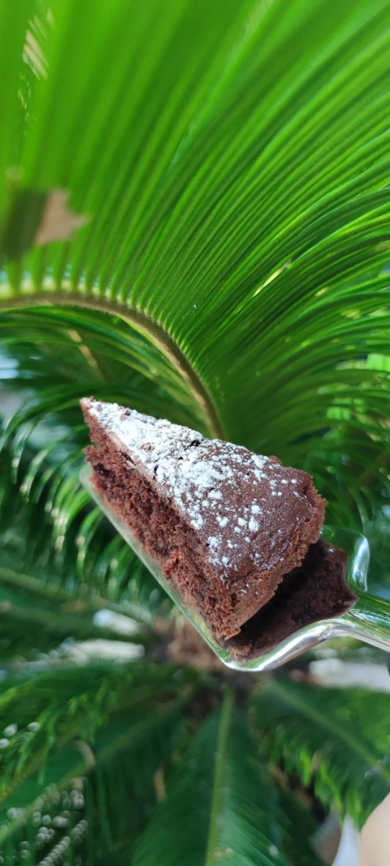 Breakfast in Hotel Ardesia