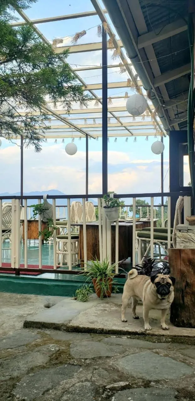 Restaurant/places to eat in The Nettle and Fern Farmstay