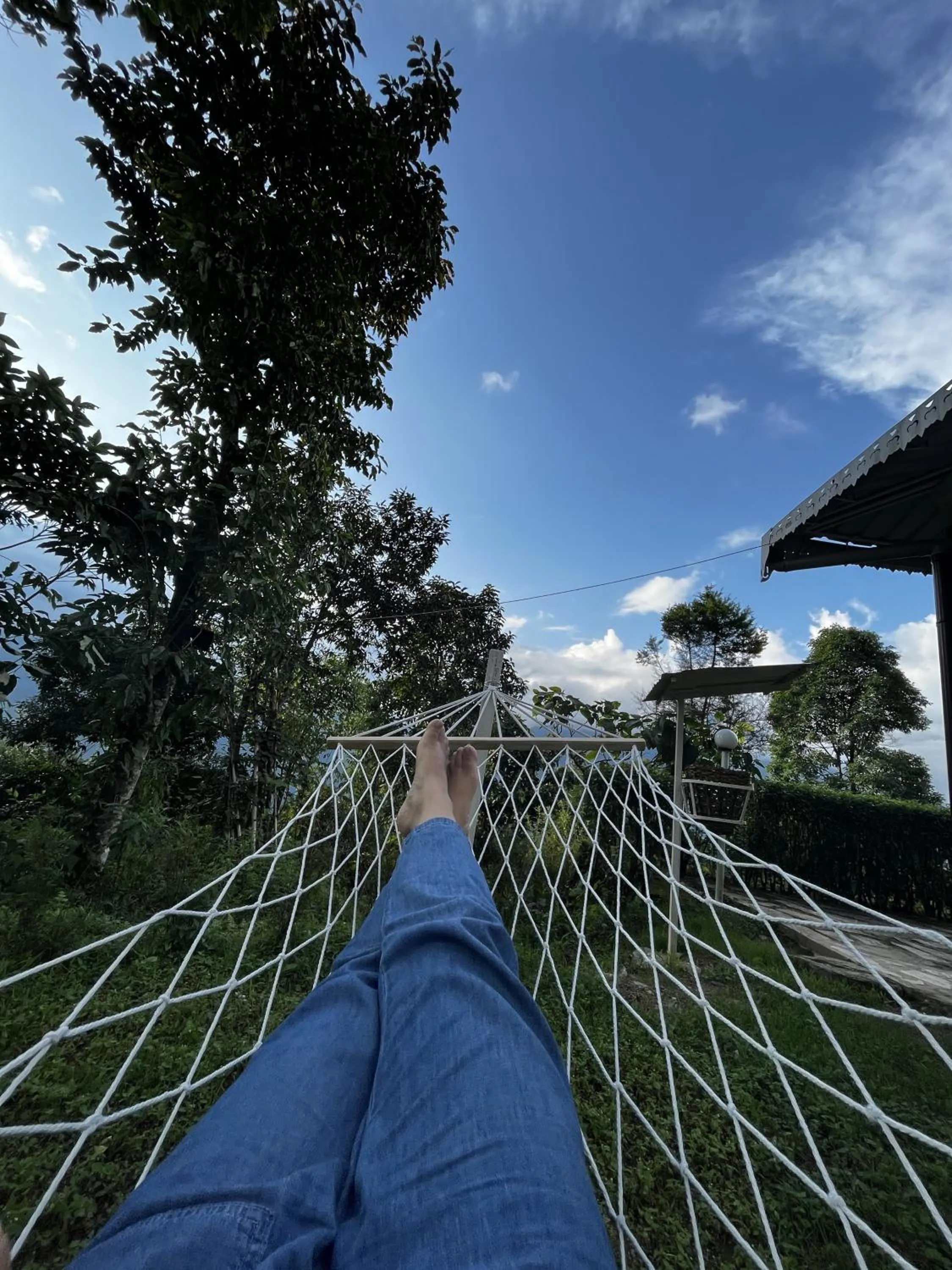 Day in The Nettle and Fern Farmstay