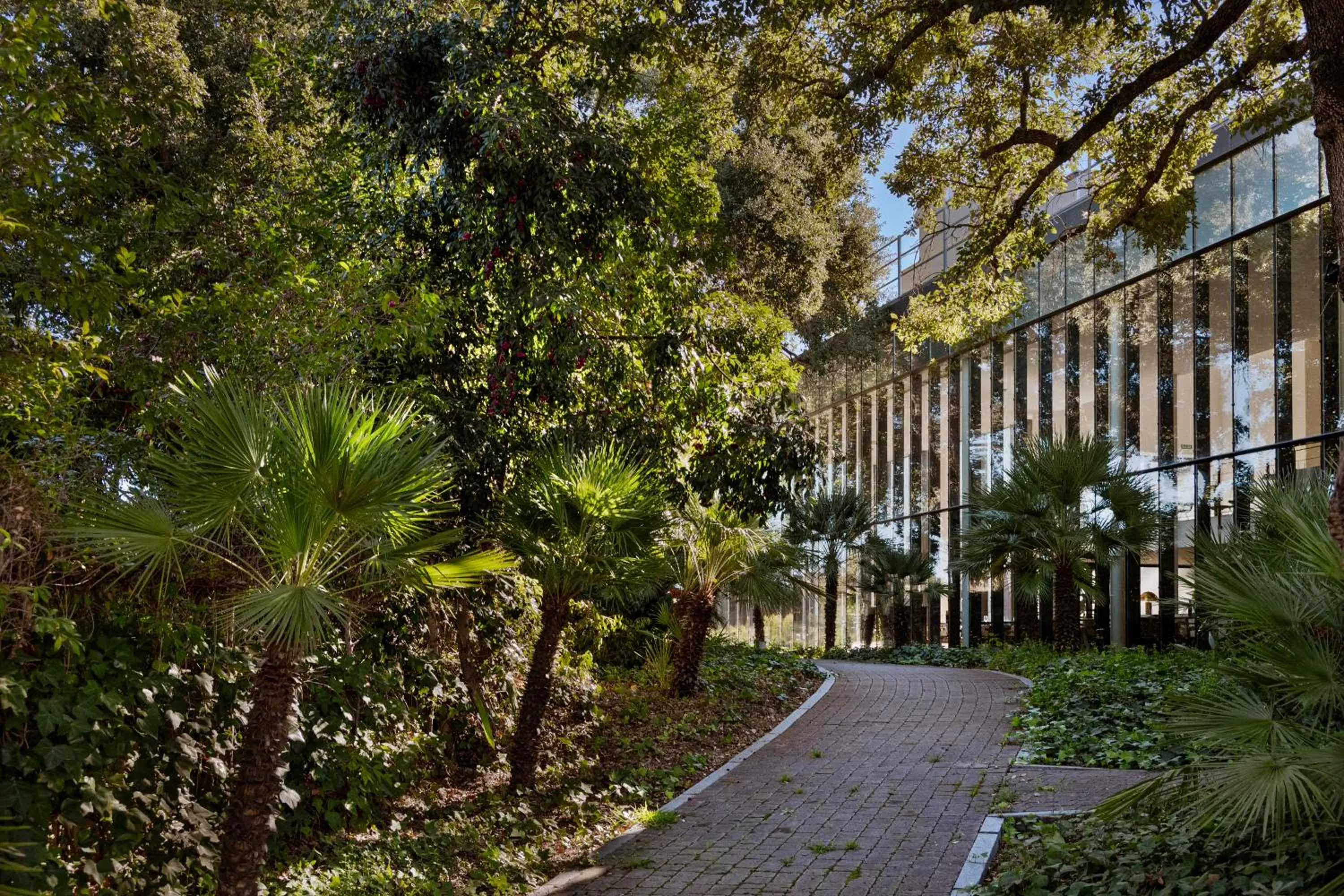 Natural landscape in Hotel Encinar de Sotogrande