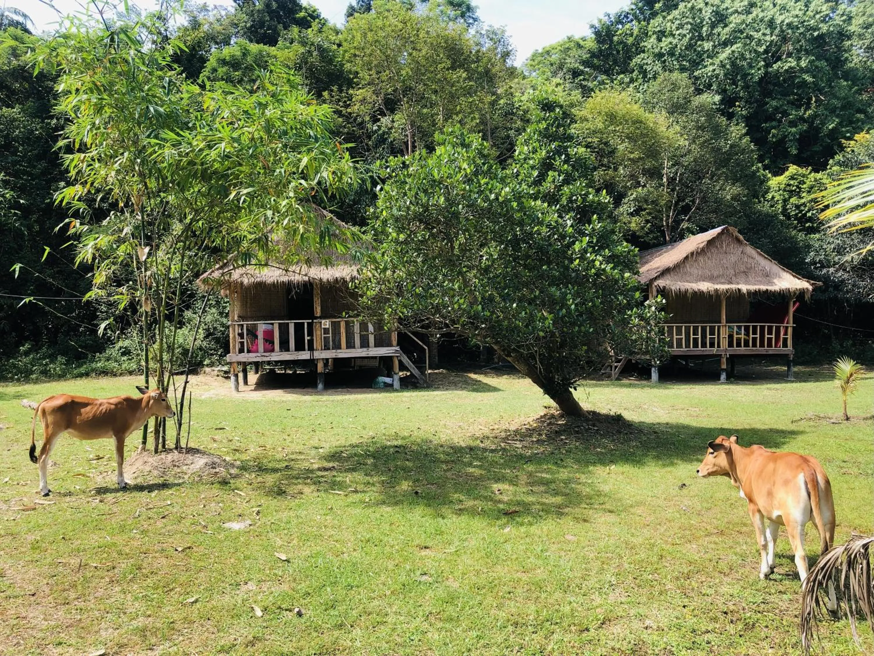 Garden in The Last Point Koh Takiev