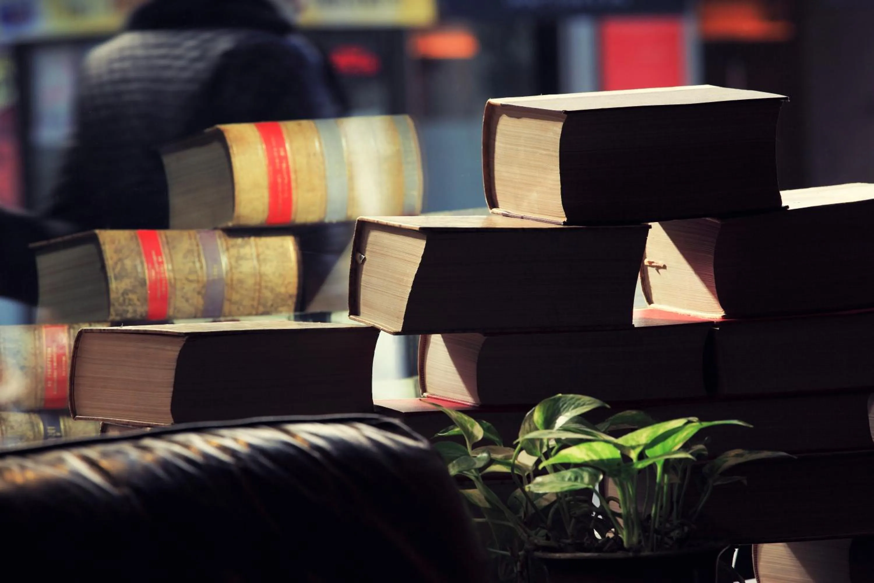 Library in Hostal Persal