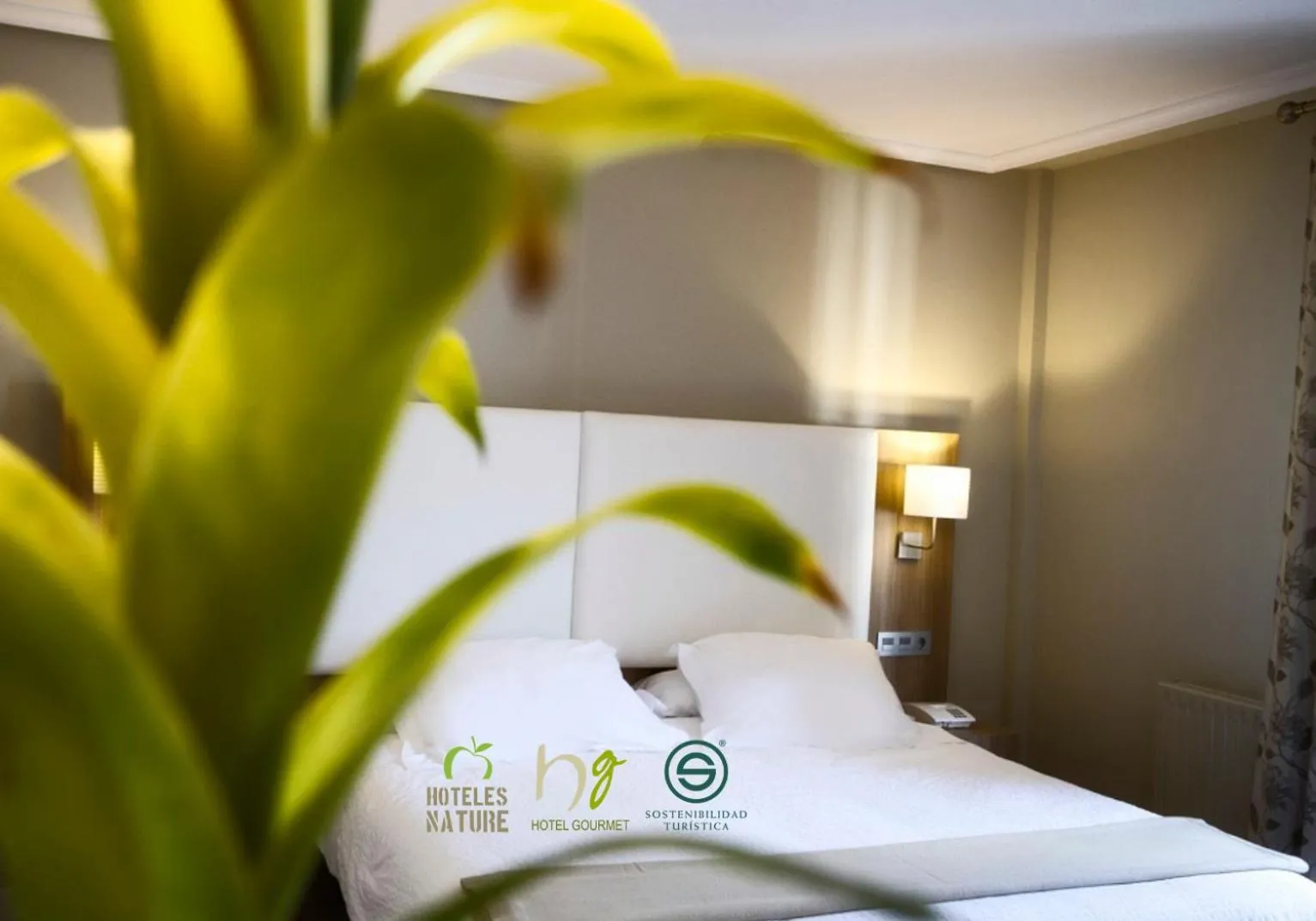 Bed in Hotel Los Lagos Nature